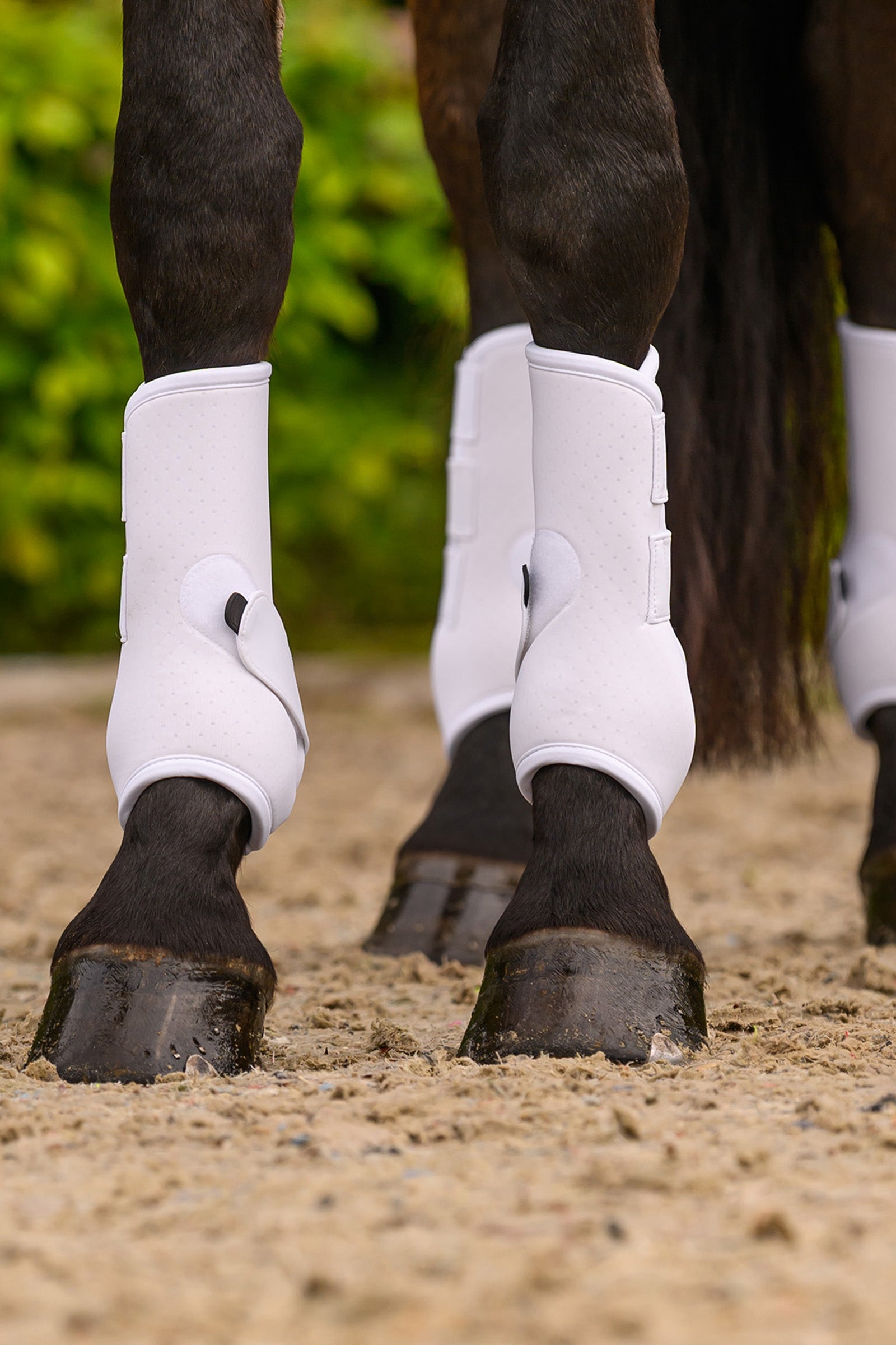 Waldhausen Air Performance Safety Boots Leg & Hoof Protection