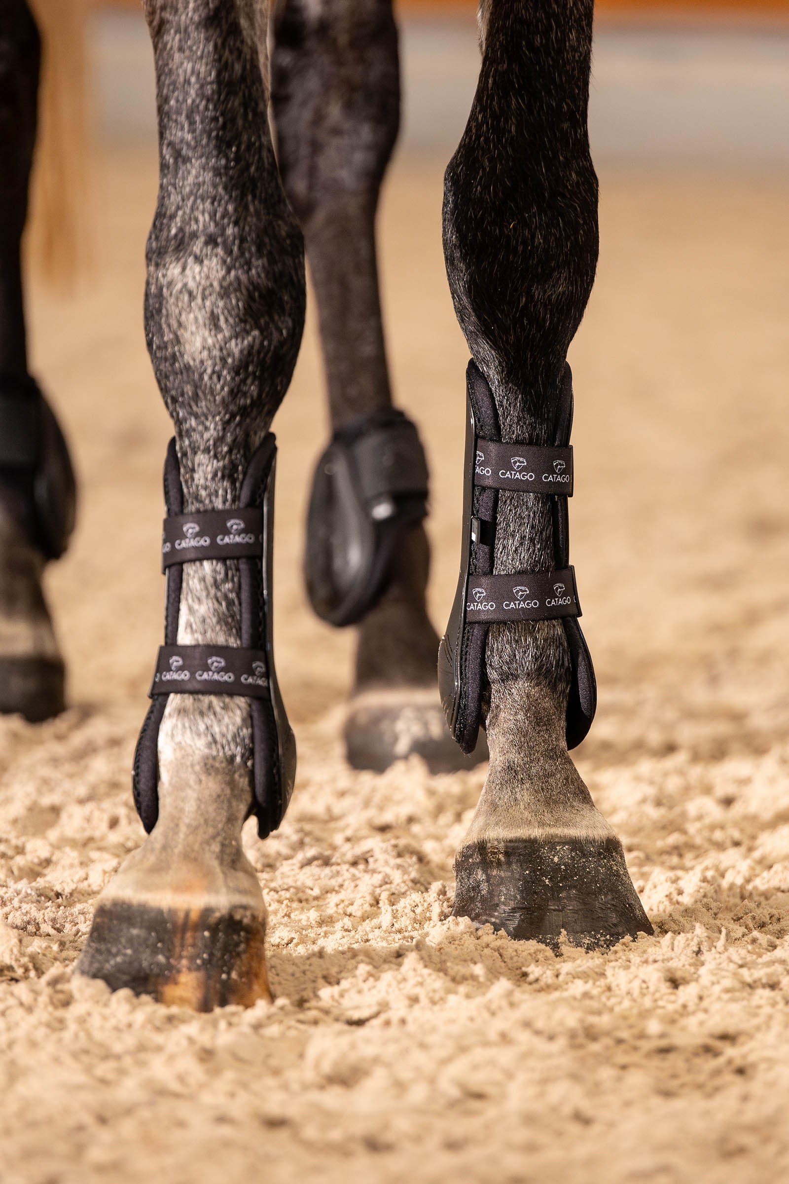 Catago CATAGO FIR-Tech Performance JP Tendon Boots Leg Protection & Hoof Protection for Horses