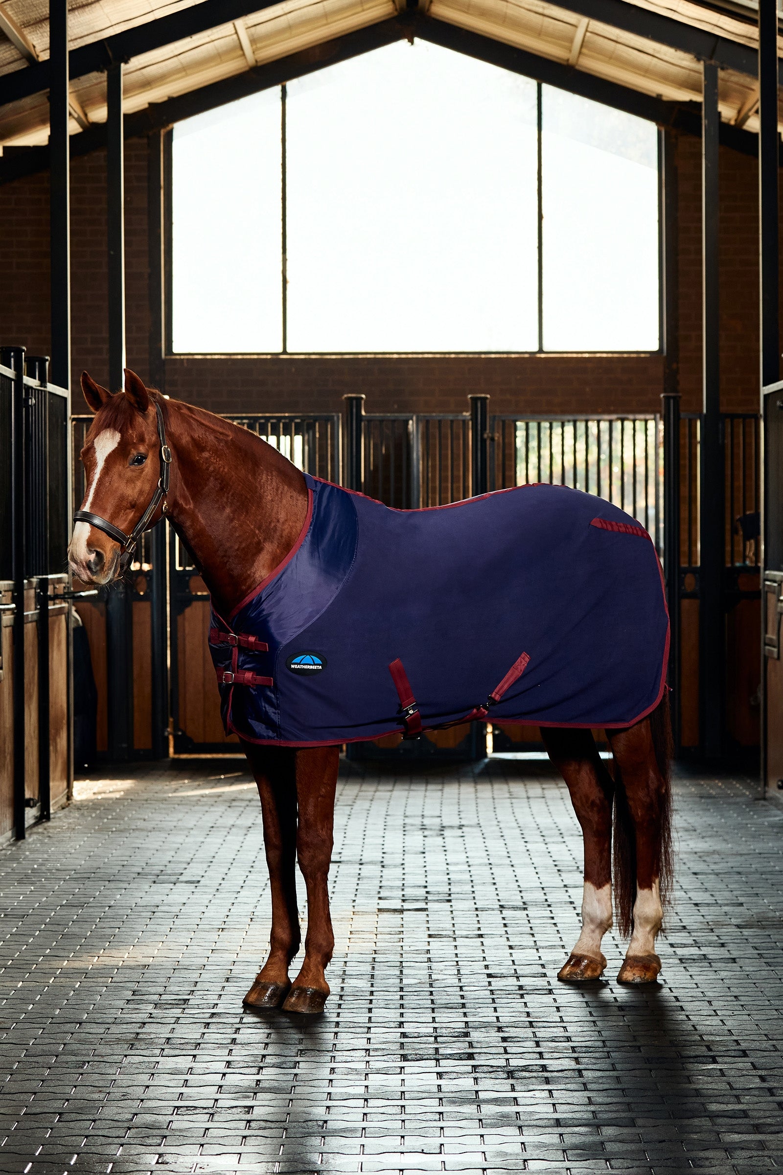 Weatherbeeta Anti-Sta Tic Fleece Cooler Rug Standard Neck Couvertures cheval