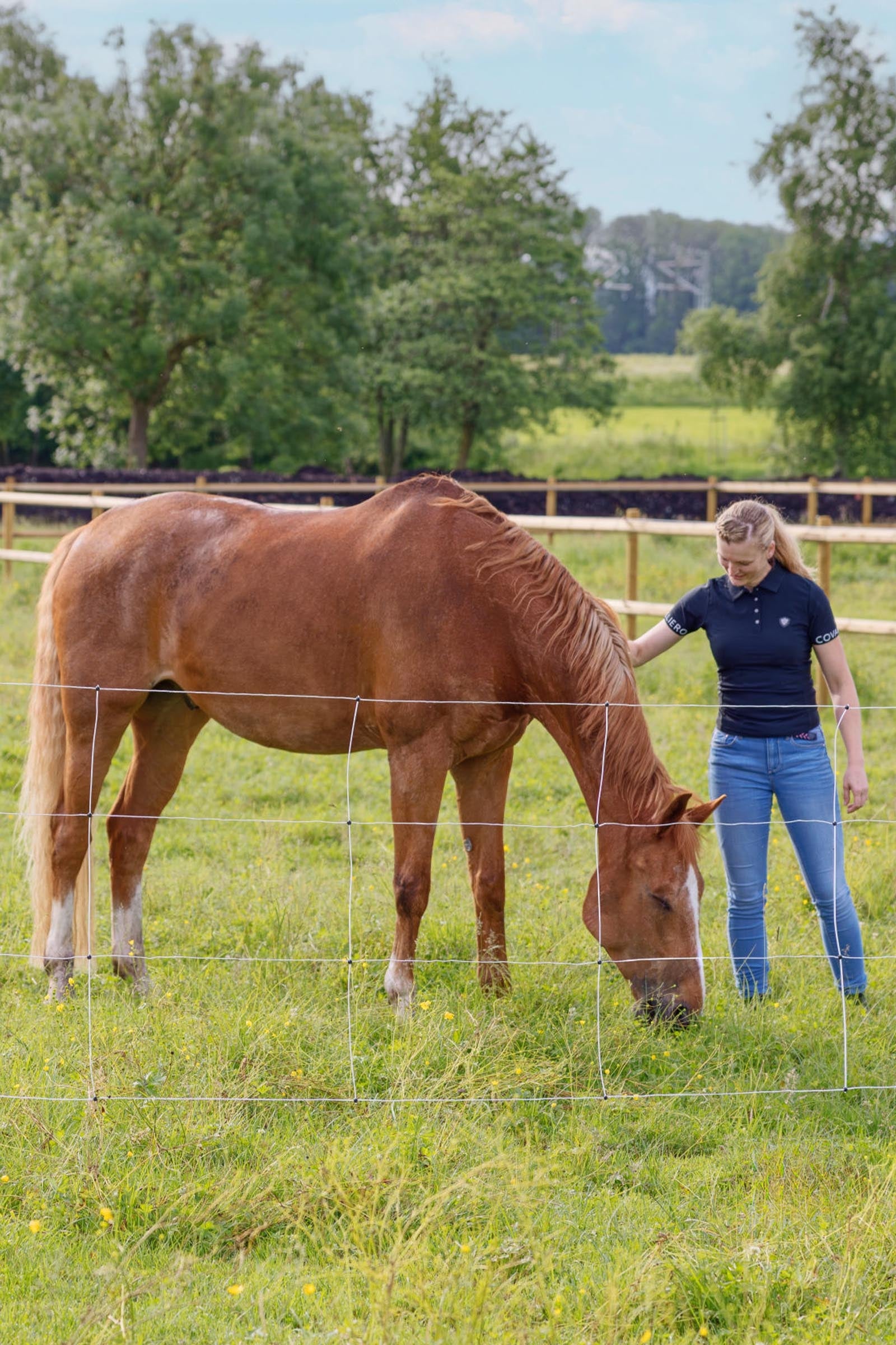 AKO Horse and Cattle Net, 30.5m x 120cm, Jumbo Posts Fencing Supplies
