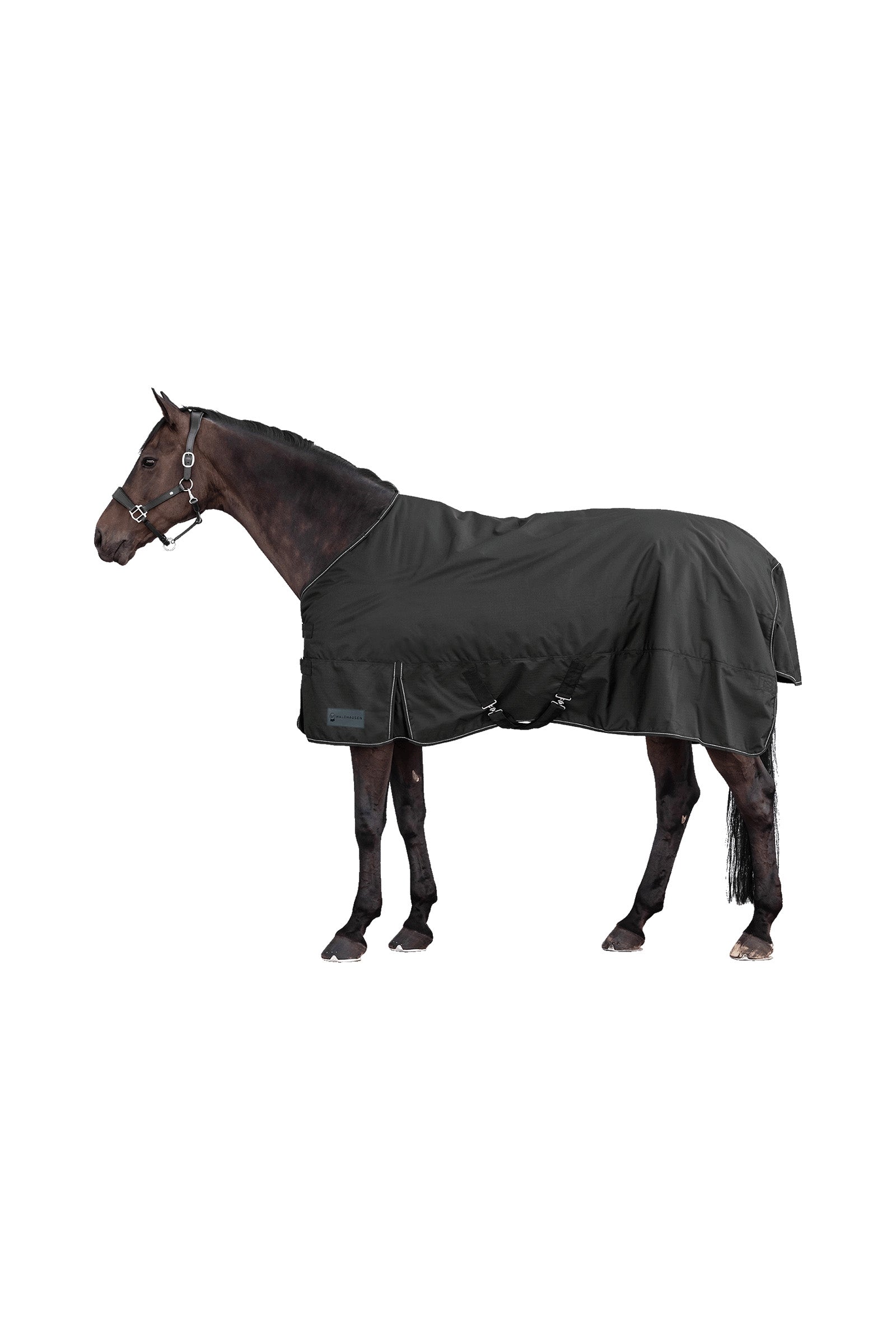 Waldhausen NORDIC 600D Light Couverture d'Extérieur Couvertures cheval