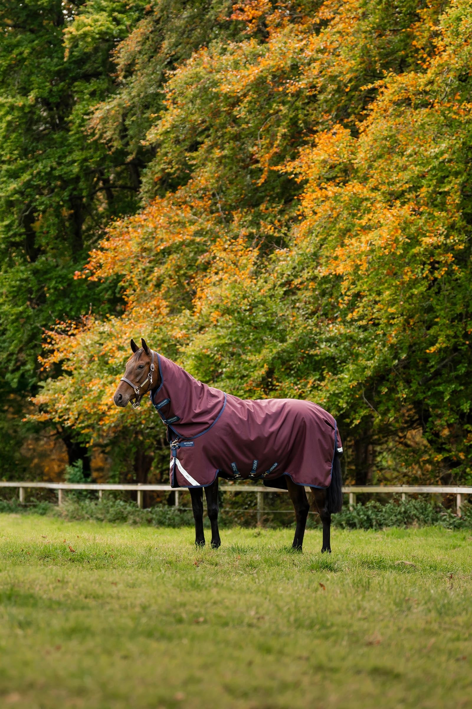 Horseware Amigo Bravo 12 Plus Turnout Rug With Detachable Neck, 0g Horse Rugs