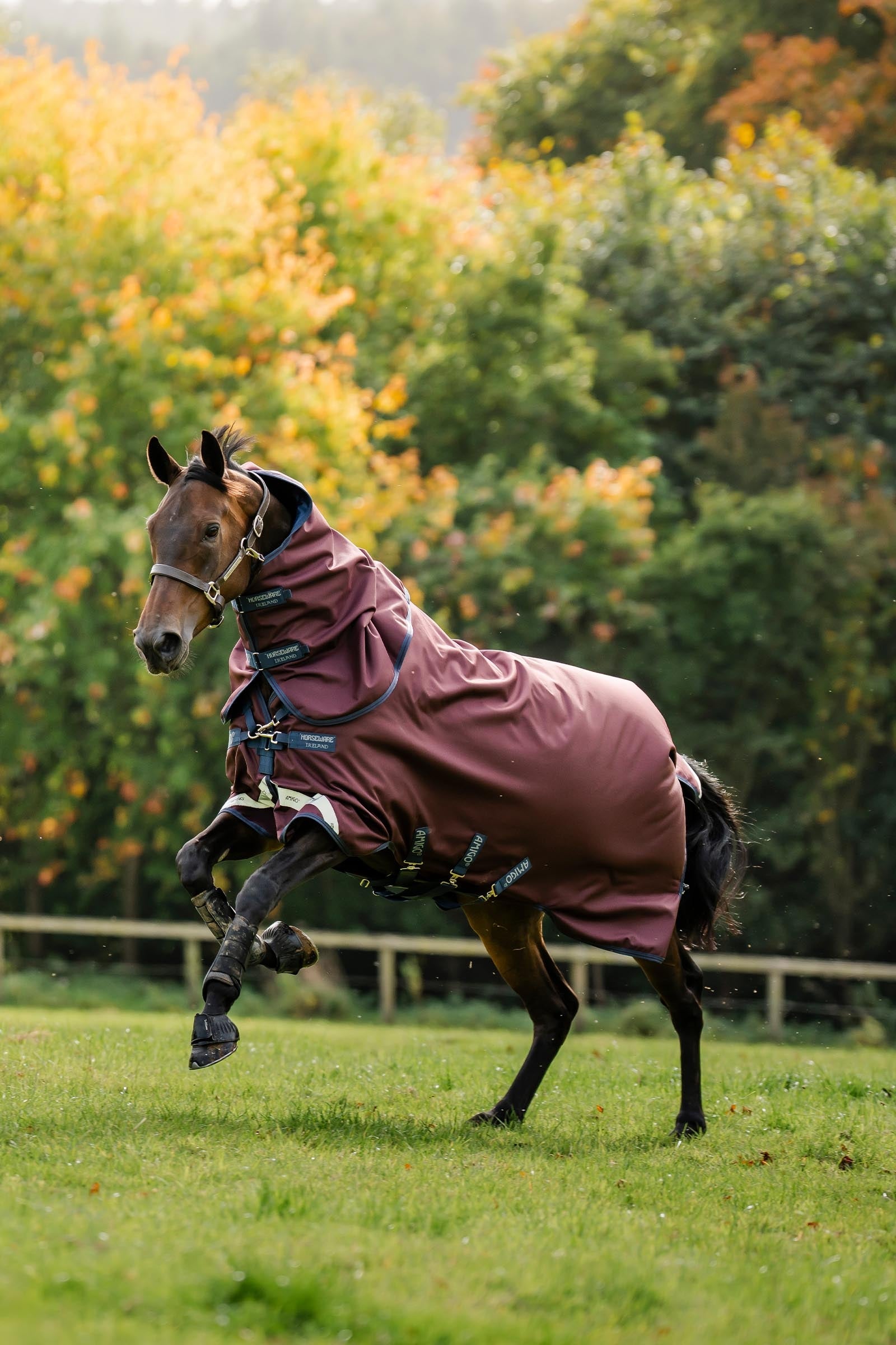 Horseware Amigo Bravo 12 Plus Turnout Rug With Detachable Neck, 0g Horse Rugs