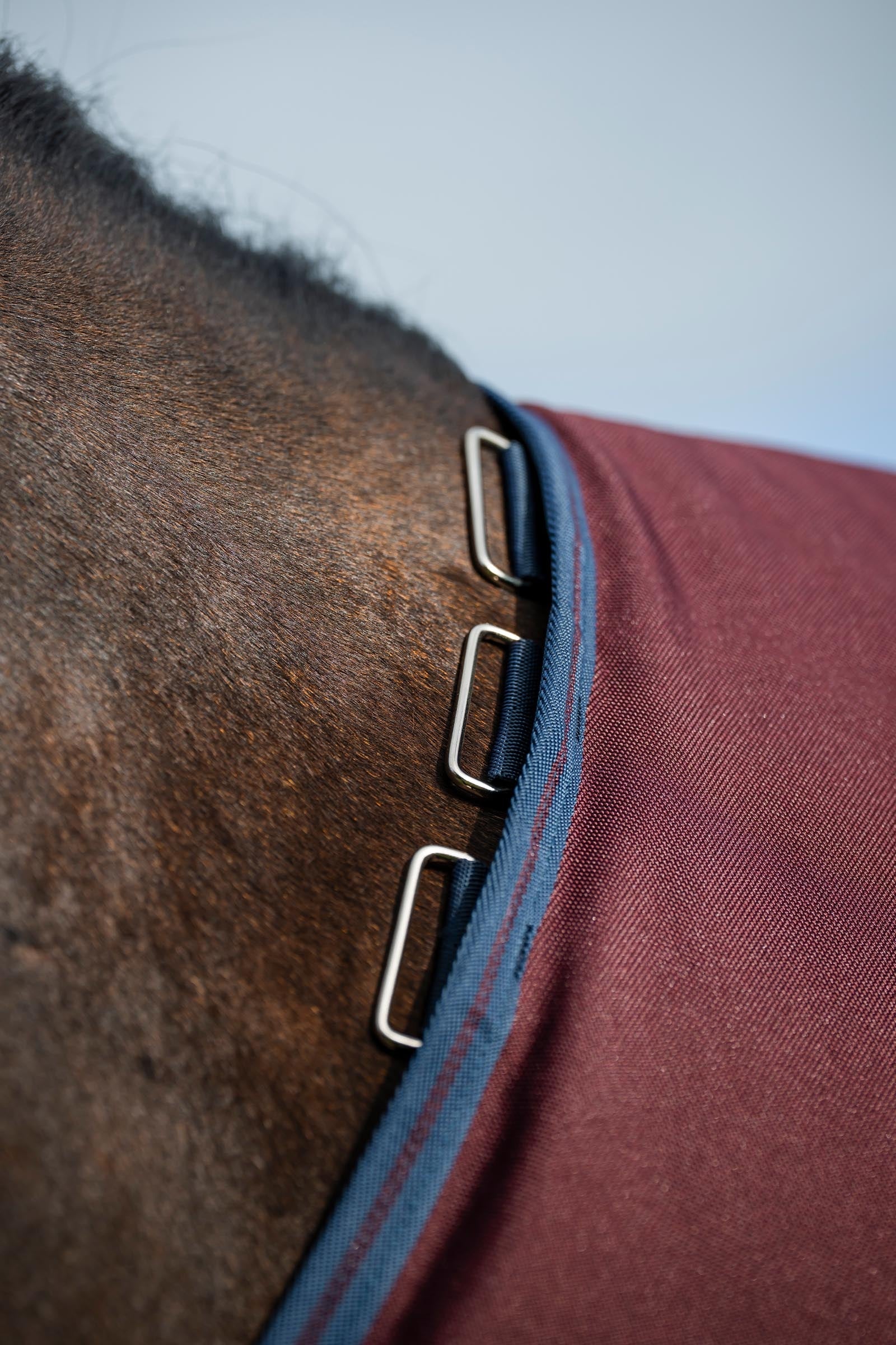 Horseware Amigo Bravo 12 Plus Turnout Rug With Detachable Neck, 0g Horse Rugs