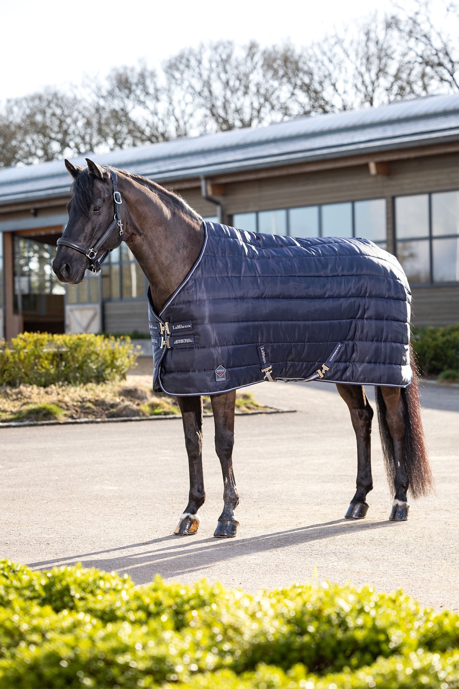 LeMieux Arika Stable-Tek Stable Rug, 100 g Horse Rugs