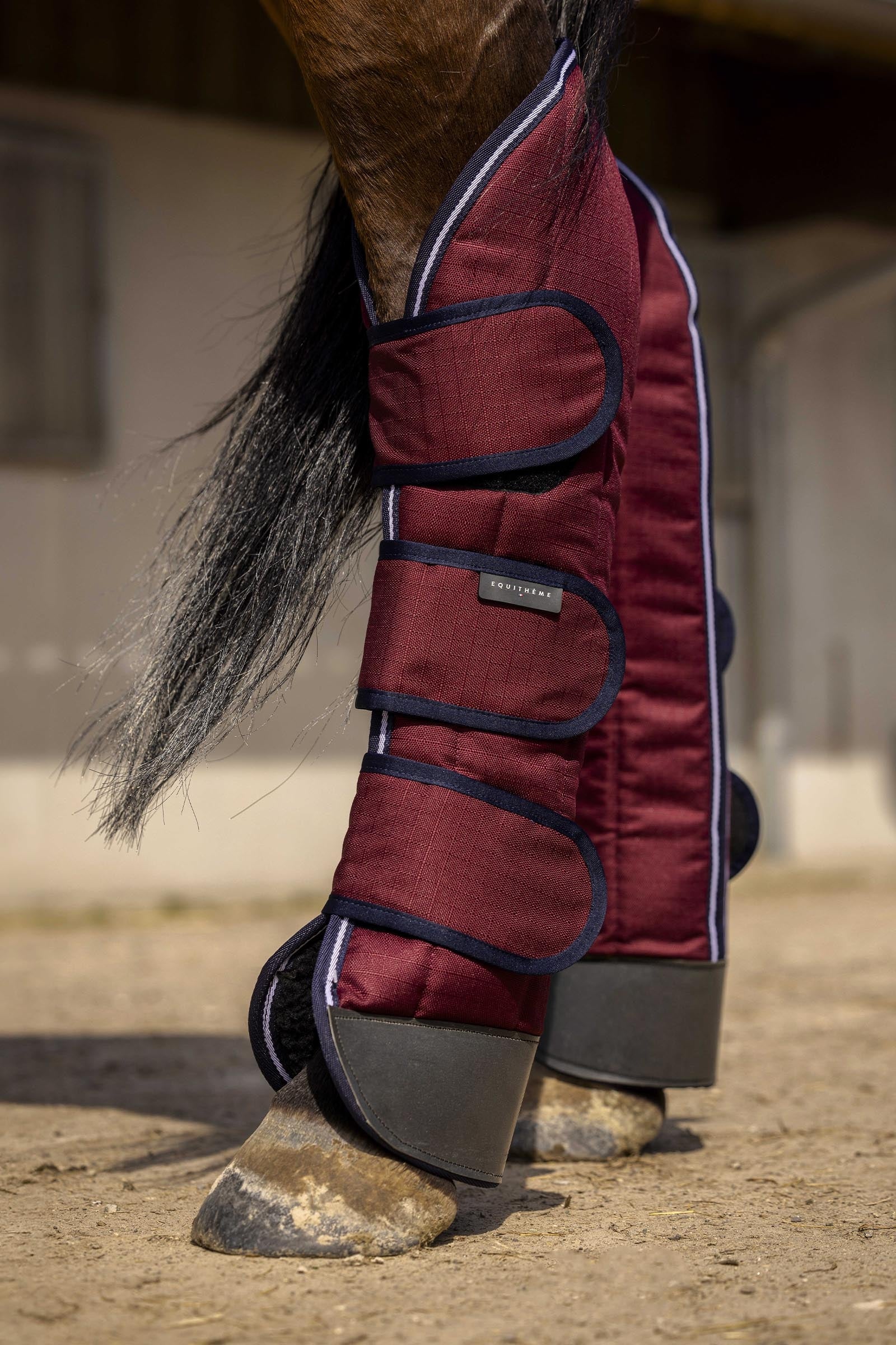 Equi Theme EQUITHÈME TYREX 1200D guêtres de transport renforcées Leg & Hoof Protection