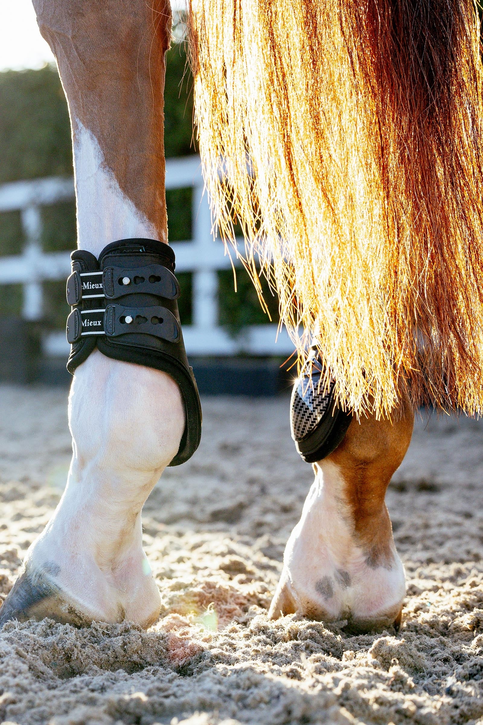 LeMieux EXO Flex Fetlock Boots Leg & Hoof Protection