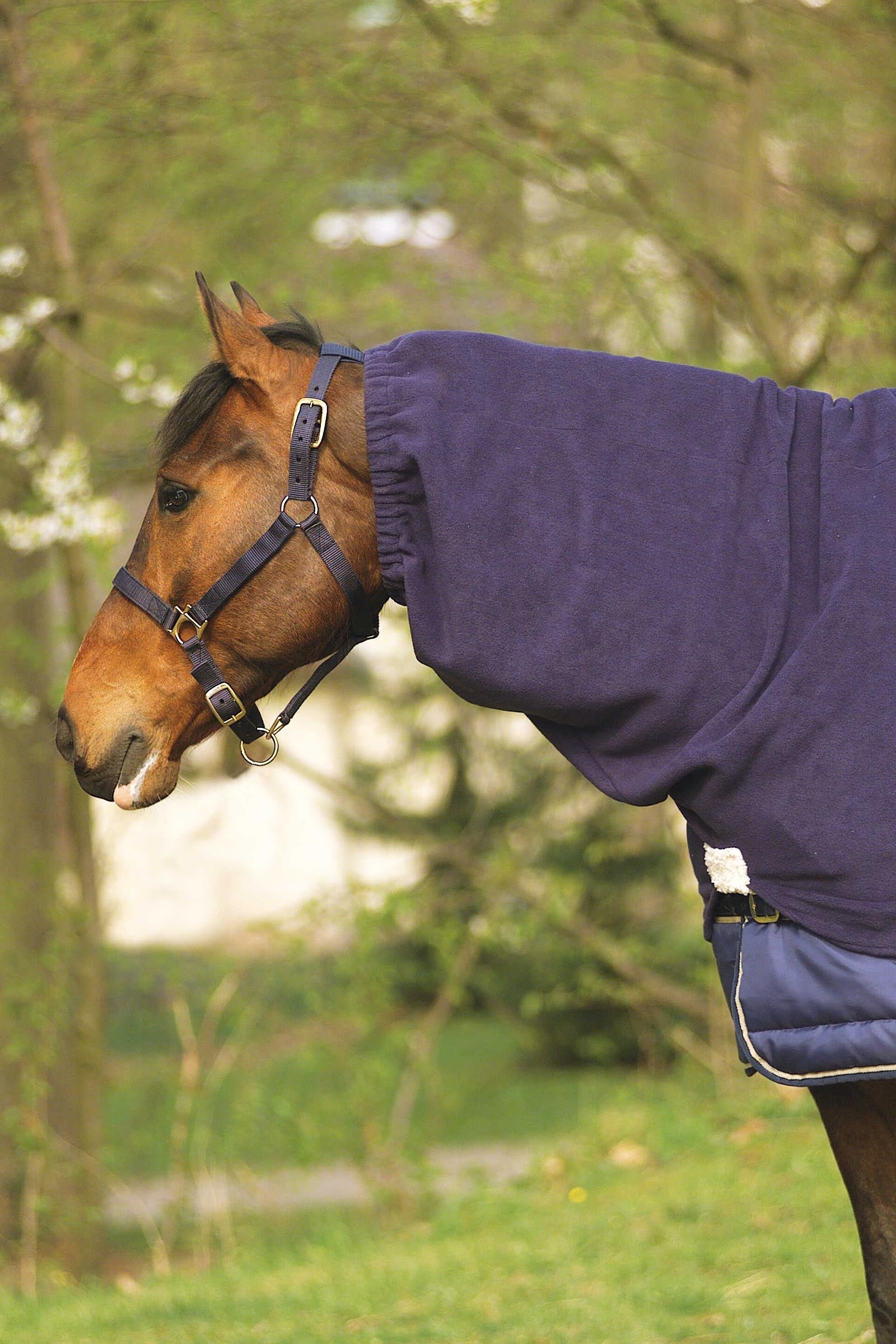 EQUITHÈME Polar Fleece couvre-cou Couvertures cheval