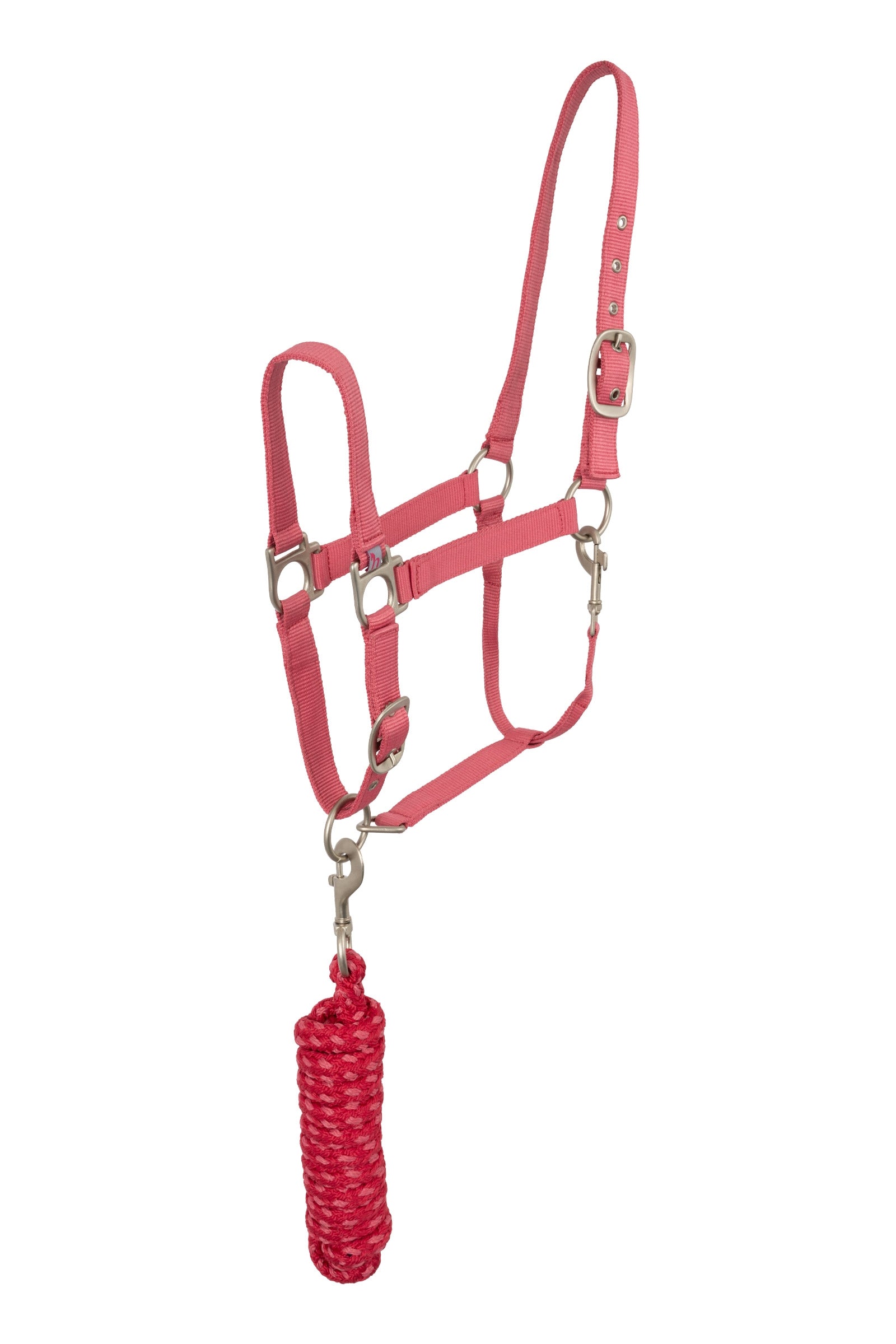 Horze Licol Rose Tonique Licols & longes