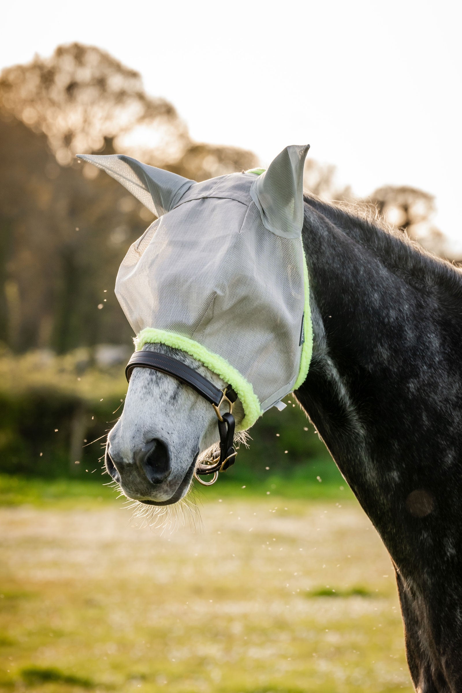 Horseware Amigo Masque anti-mouches Anti-mouches cheval