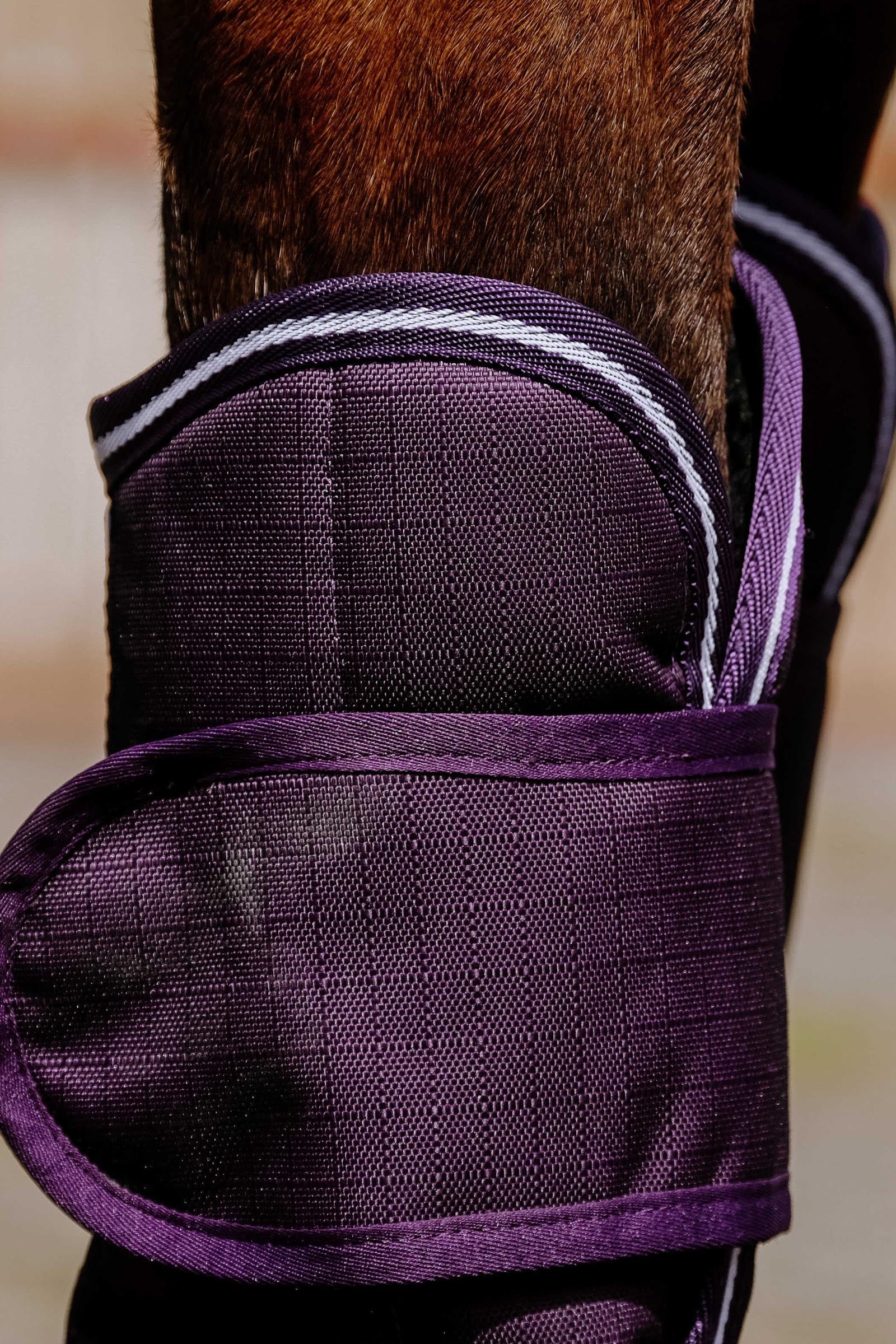 Equi Theme EQUITHÈME TYREX 600D Transport Boots Leg & Hoof Protection
