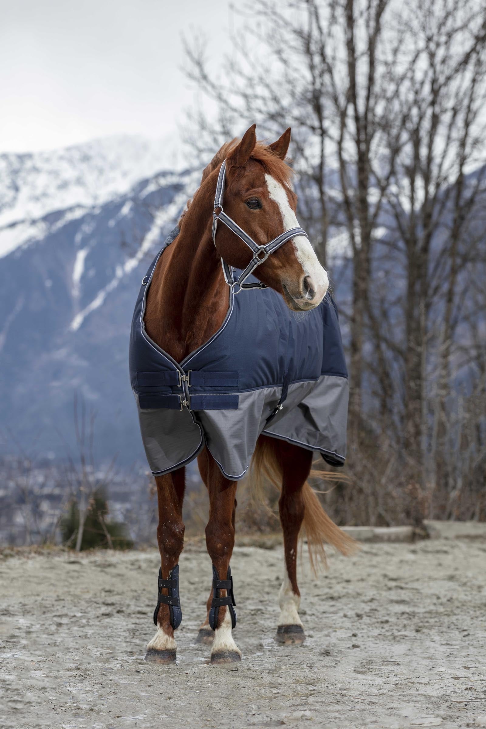Equi Theme EQUITHÈME TYREX 600D Turnout Rug Horse Rugs