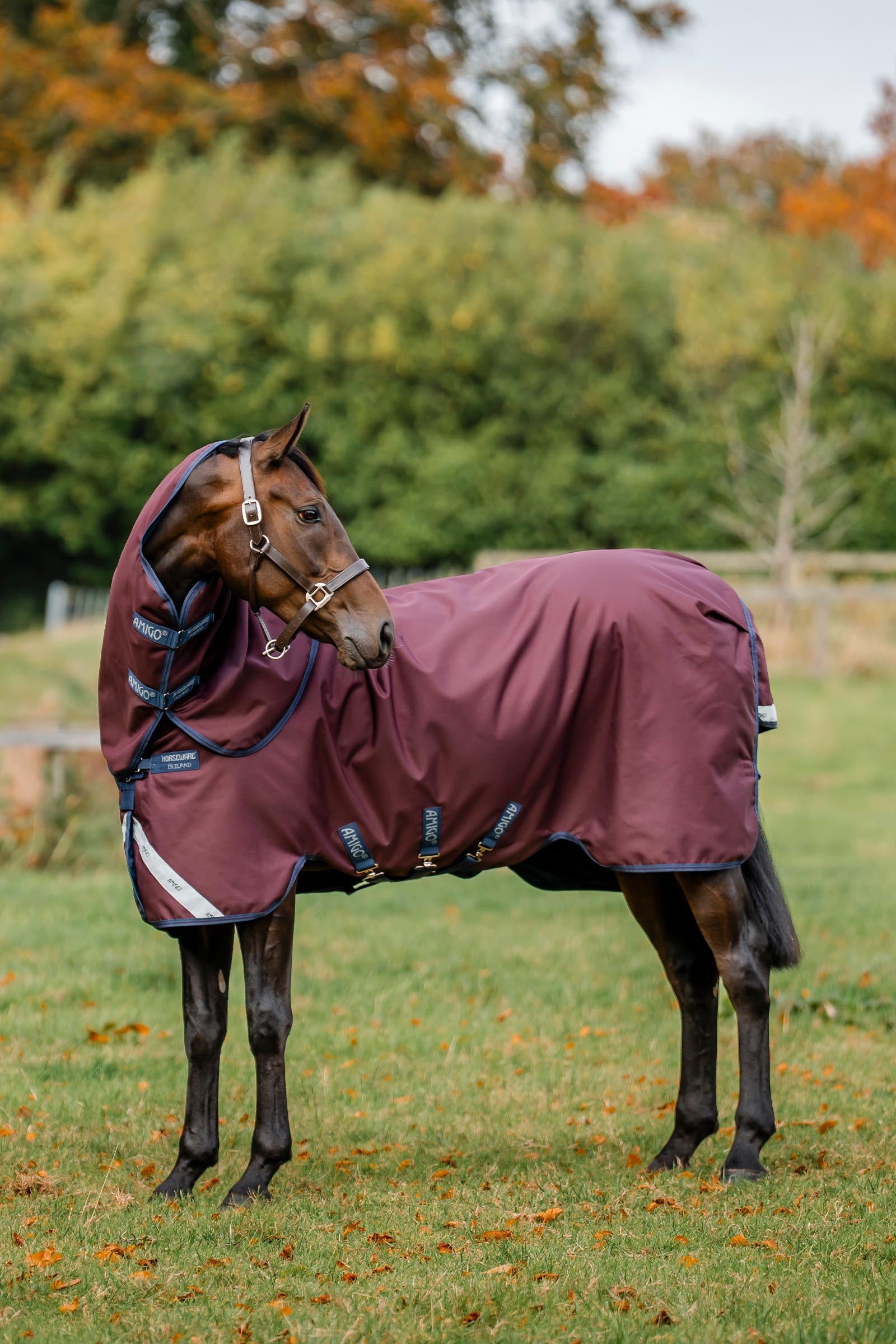 Horseware Amigo 1200D Plus Turnout Rug, 50 g Horse Rugs