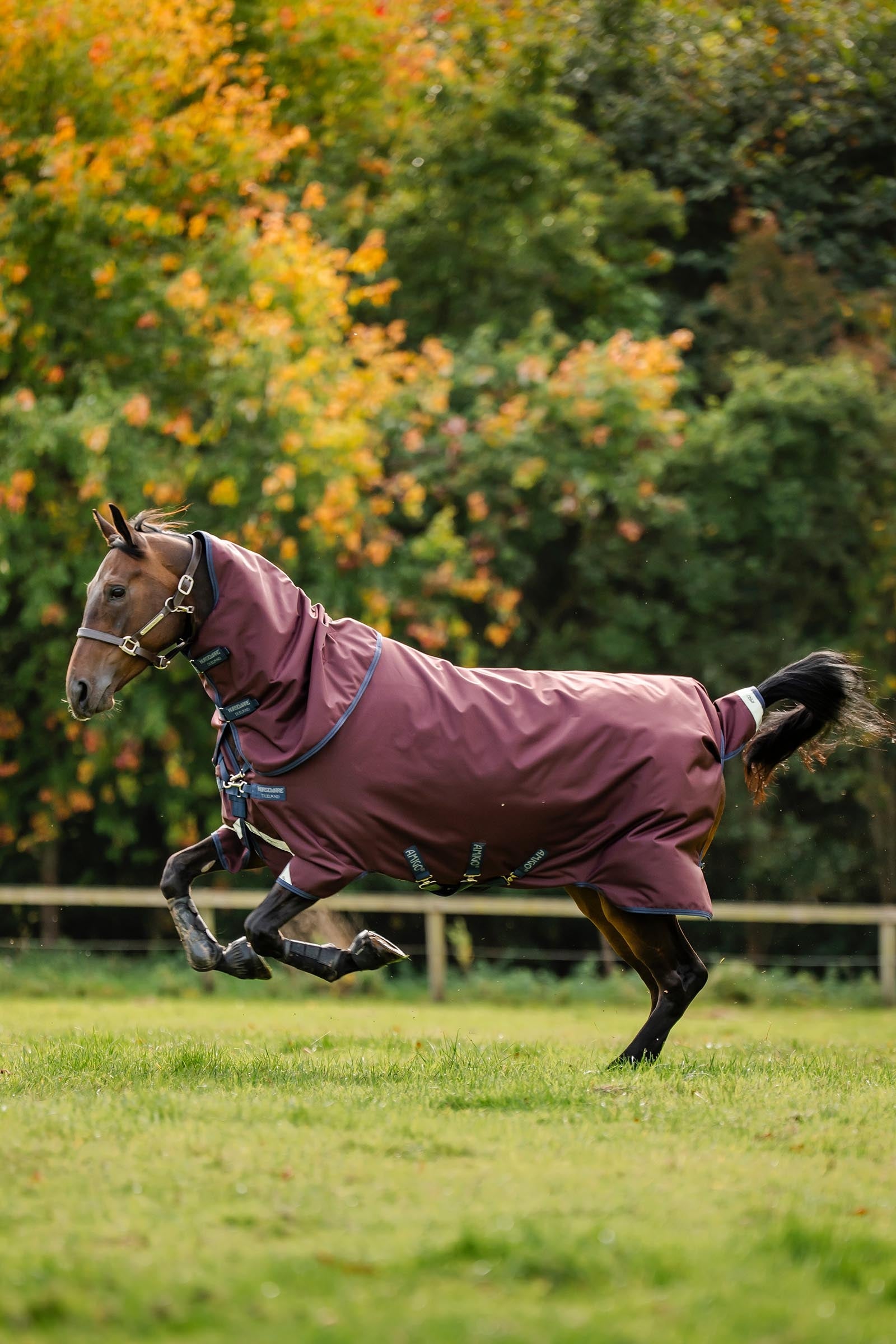Horseware Amigo 1200D Plus Turnout Rug, 50 g Horse Rugs