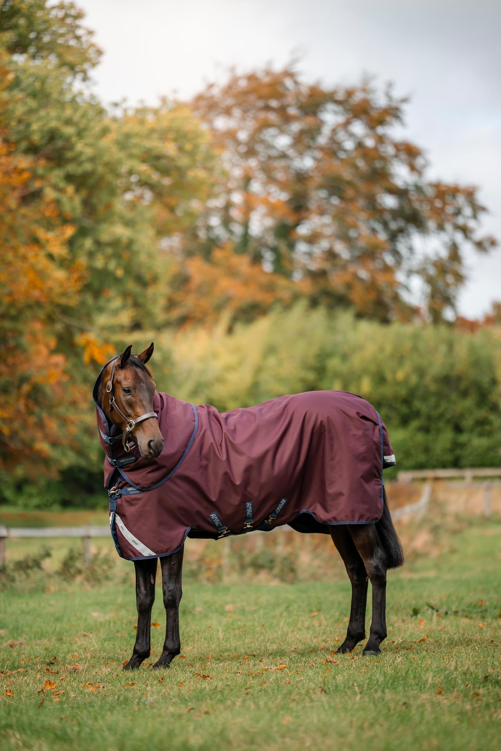 Horseware Amigo 1200D Plus Turnout Rug, 50 g Horse Rugs