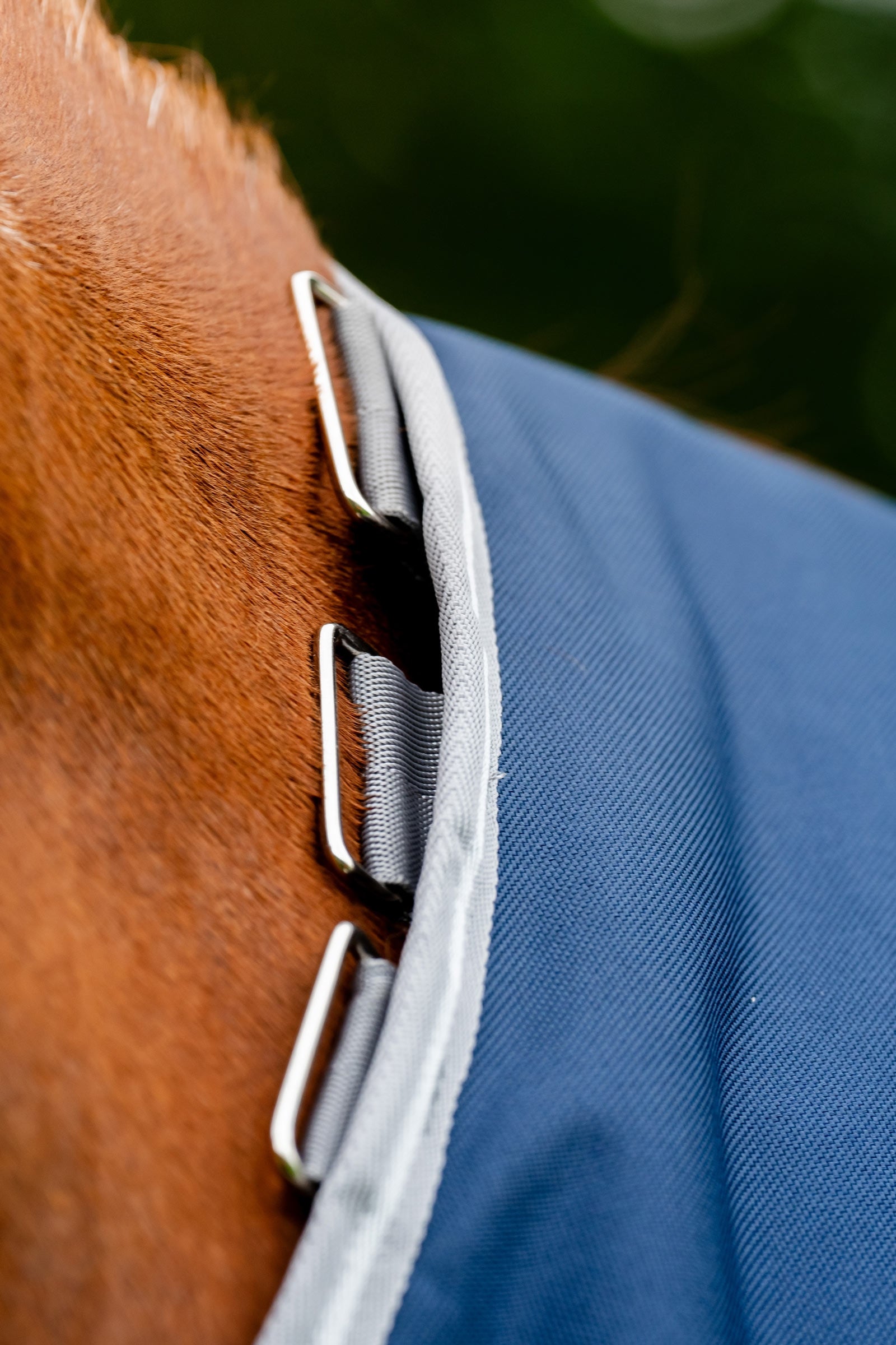 Horseware Amigo 1200D Plus Turnout Rug, 50 g Horse Rugs