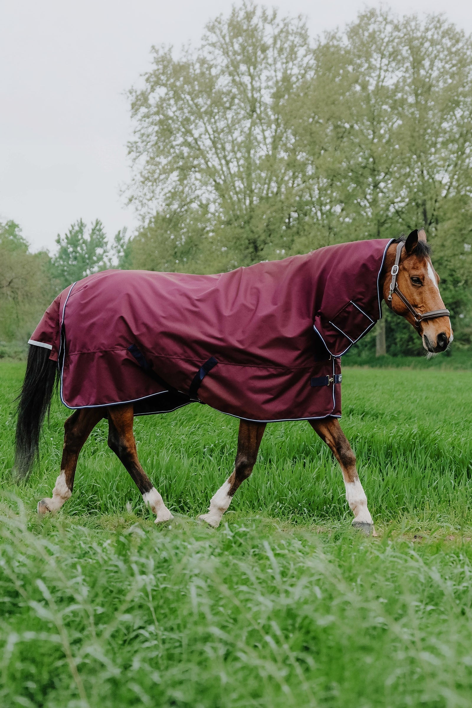 Equi Theme EQUITHÈME TYREX 1200D Combo Rug, 350 g Horse Rugs