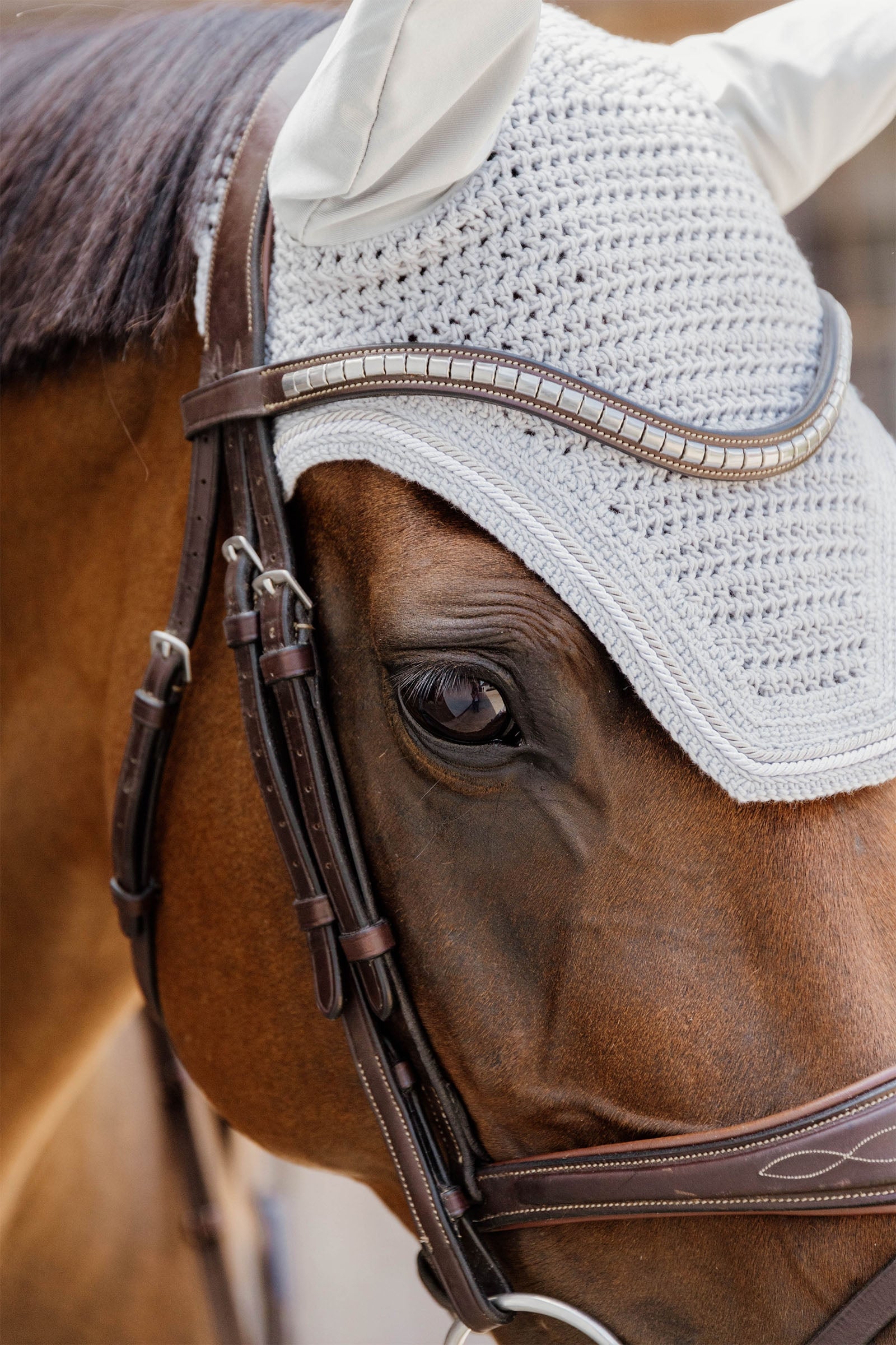 Kentucky Horsewear Fly veil Wellington diamond rope Soundless Saddle Pads