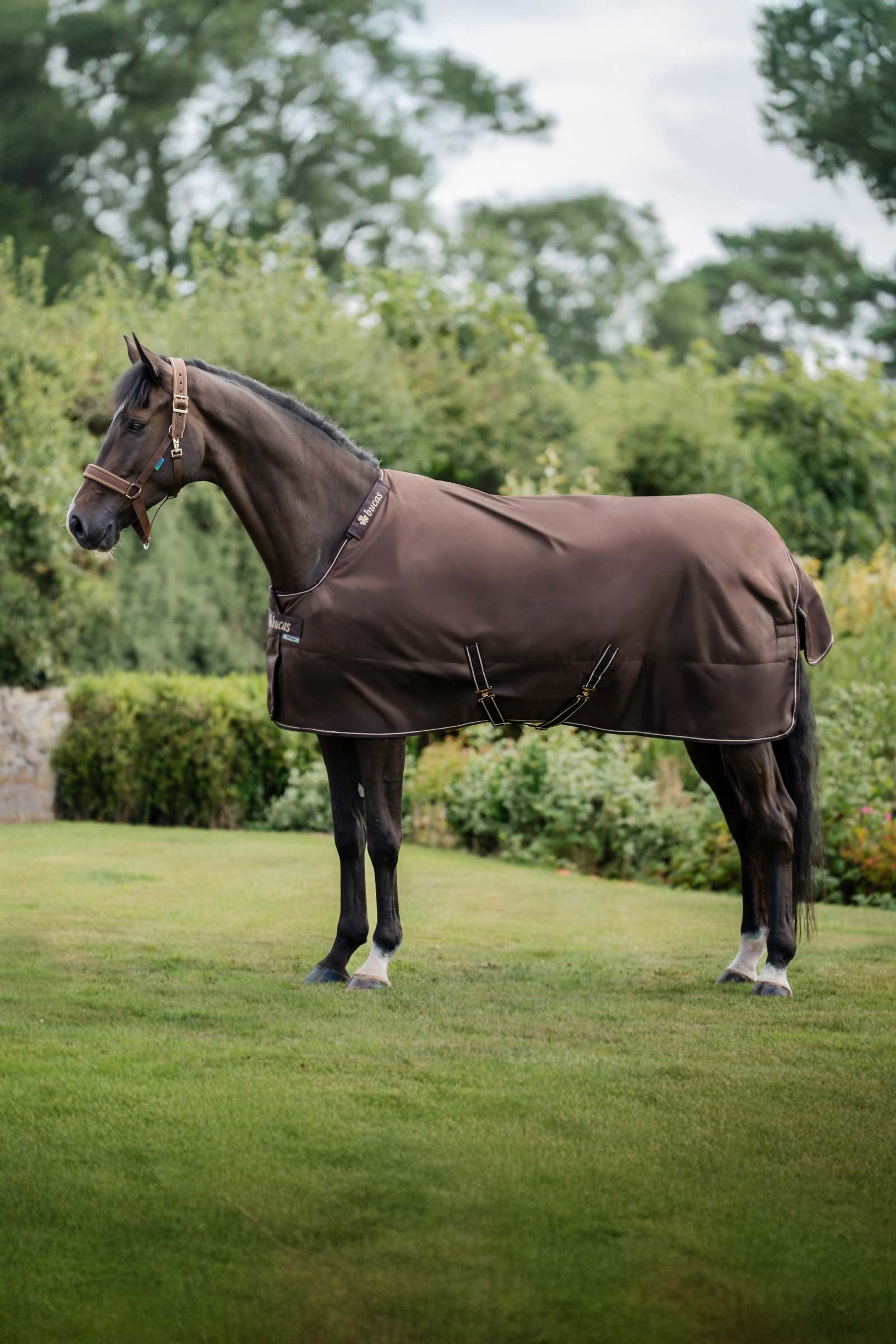 Bucas Irish Turnout Rug, 300 g & Neck Set Couvertures cheval