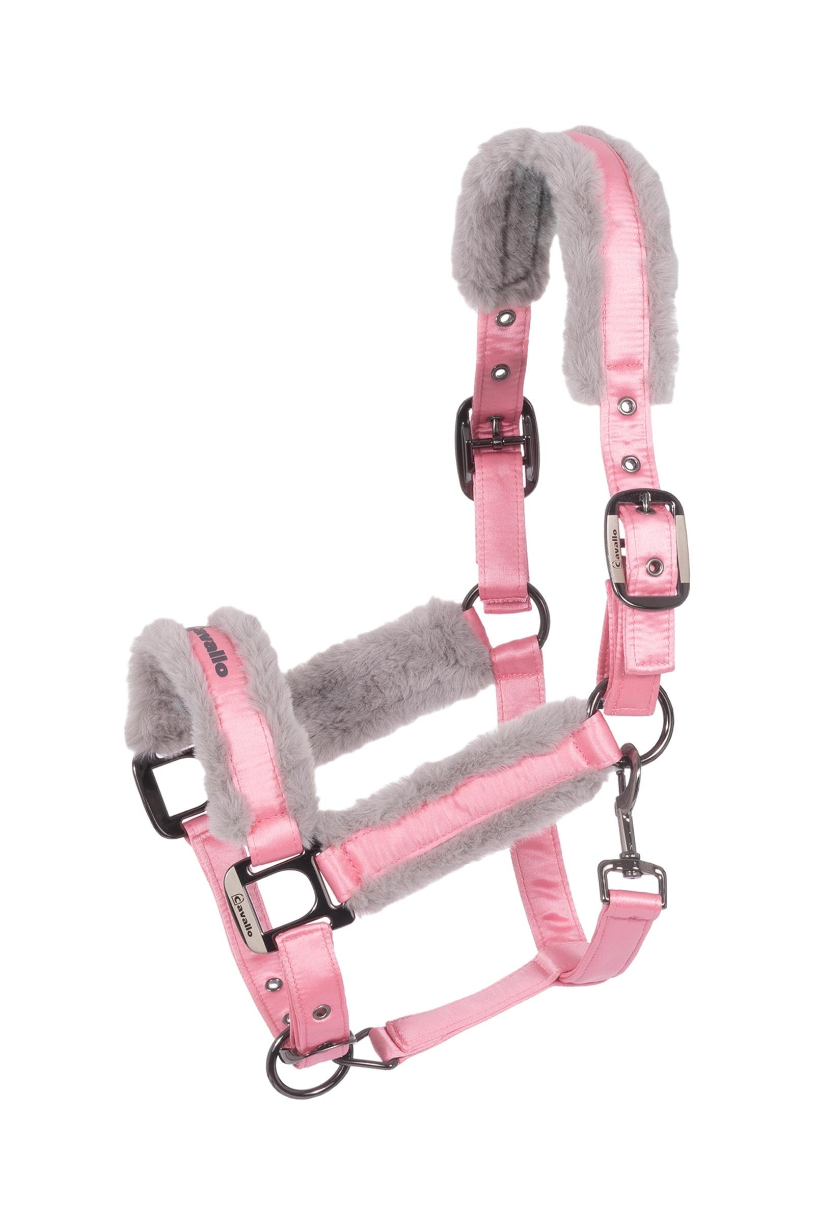 Cavallo CAVALJERO licol Licols & longes
