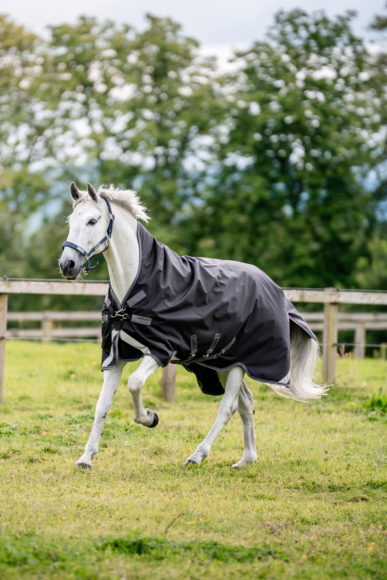 Horseware Rambo 1680D Wug Turnout 50 g Horse Rugs
