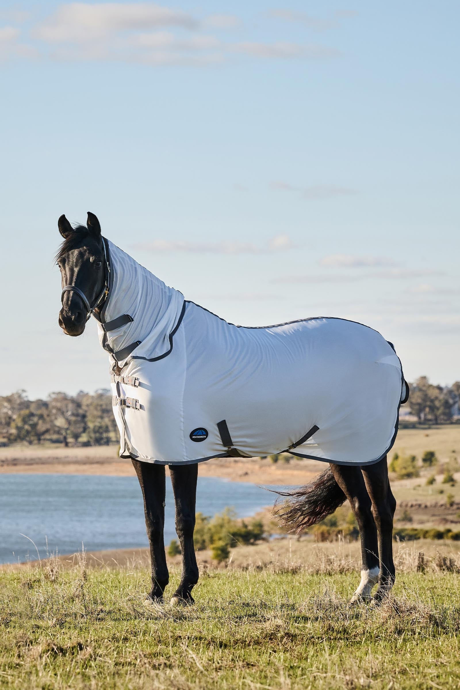 Weatherbeeta Comfitec Tyro Fly Sheet Combo W. Fixed Neck, 0g Horse Rugs