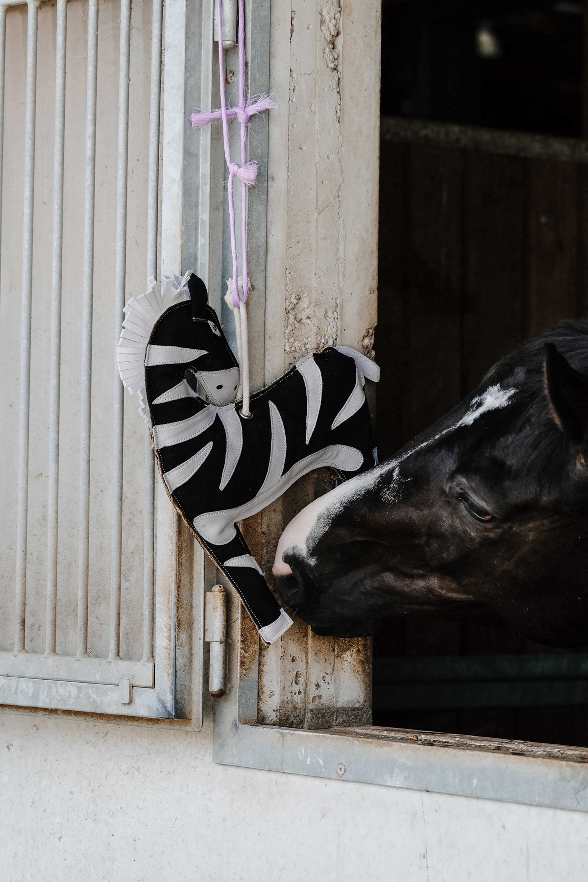 HIPPOTONIC Toy Zebra For Horses Horse Toys & Riding Arena Supplies