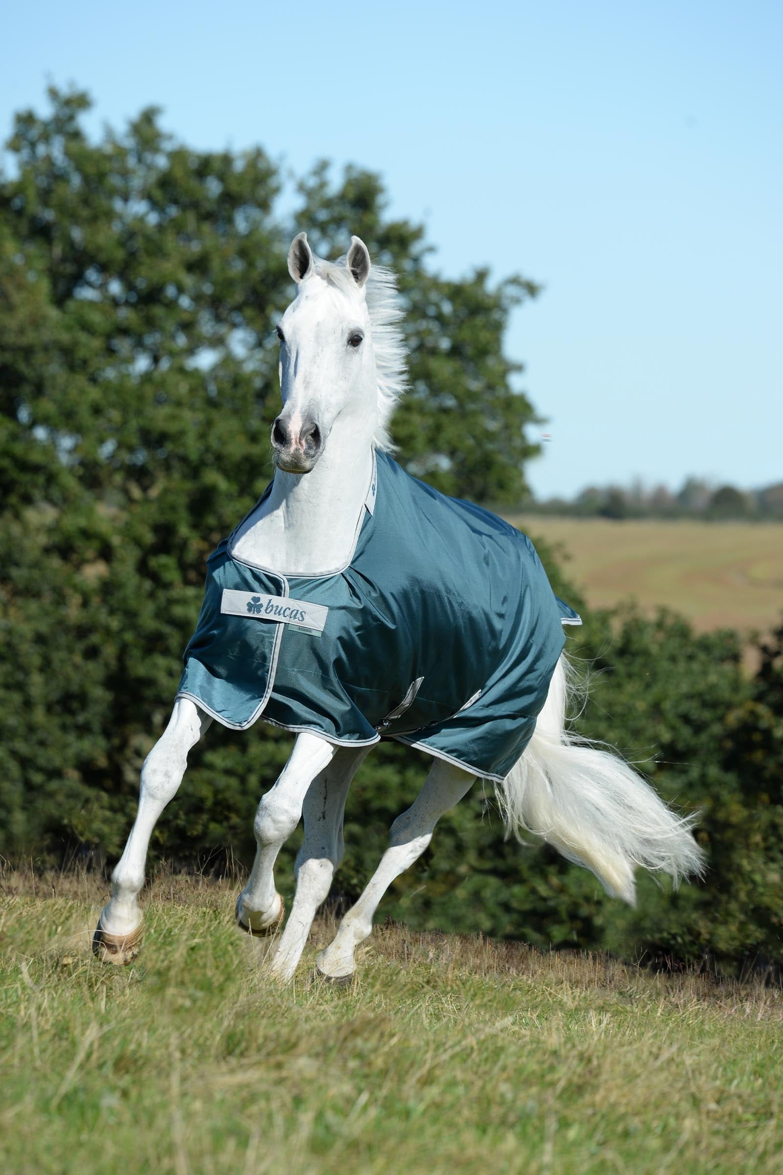 Bucas Atlantic Turnout Rug, 50g Horse Rugs