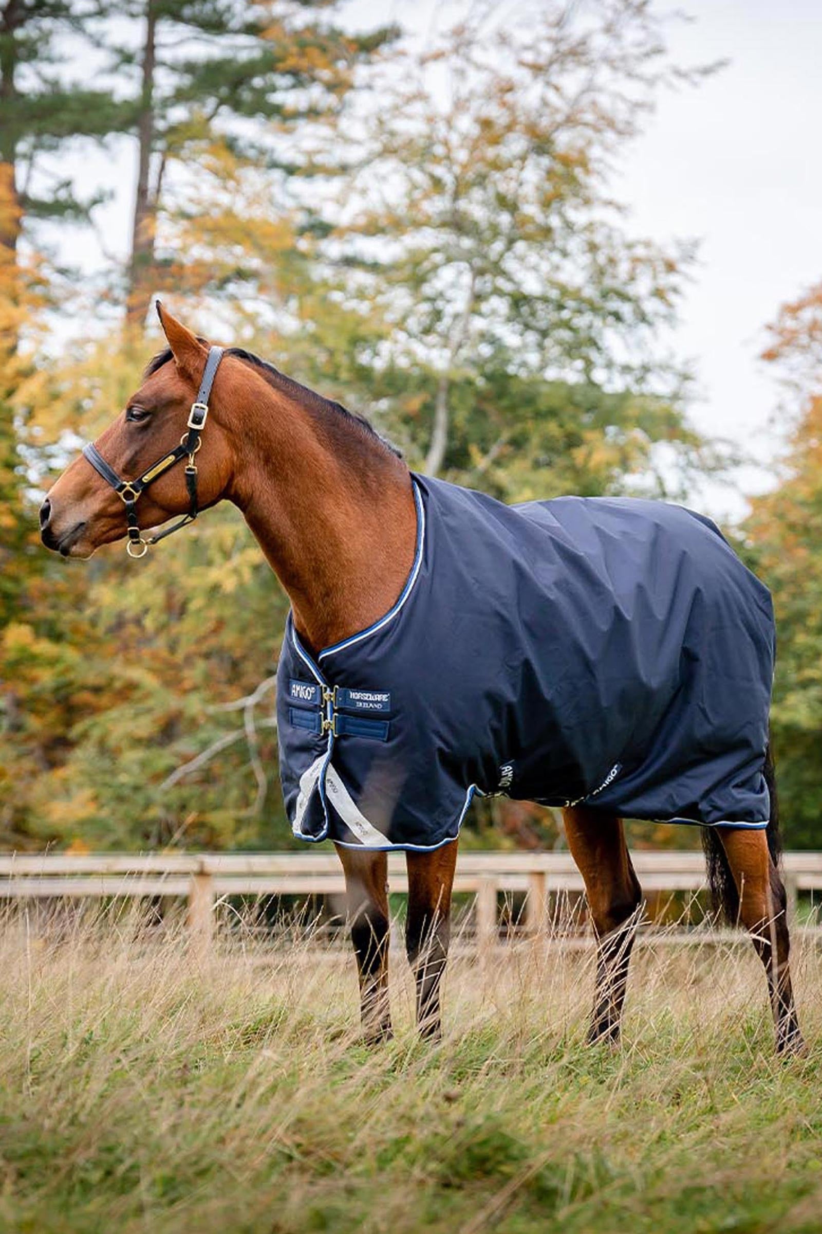 Horseware Amigo Bravo 12 Original couverture d'extérieur, 250g Couvertures cheval