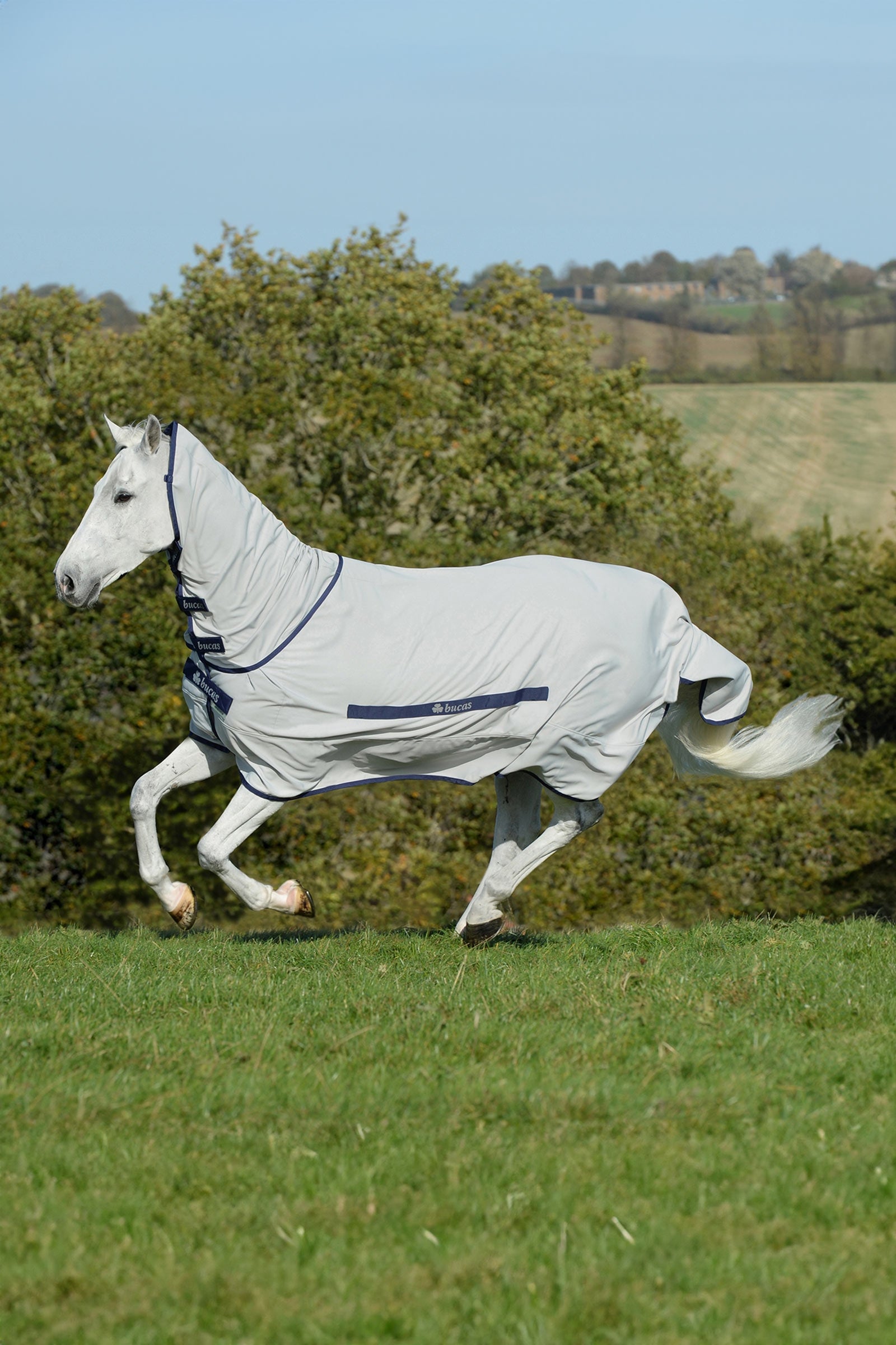 Bucas Sweet-Itch couverture pour eczéma avec cou fixe Couvertures cheval