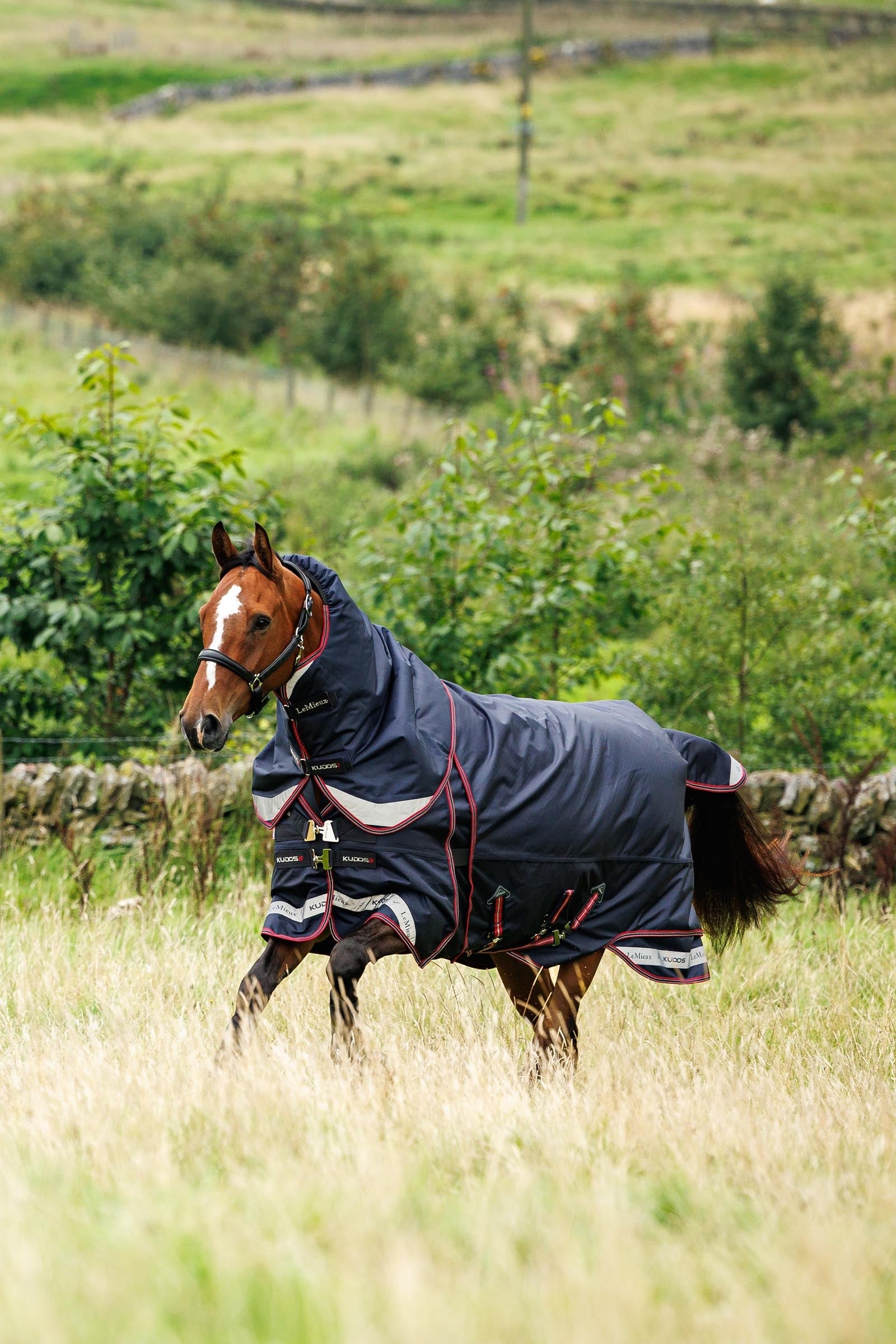 Lifestyle shot 3