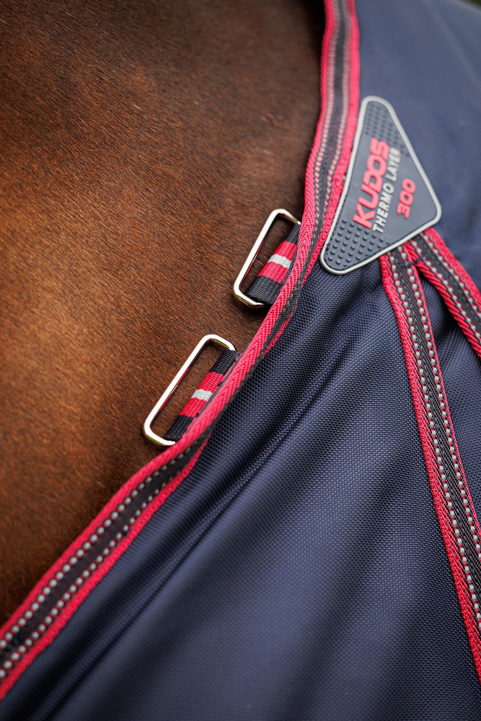 LeMieux Kudos Thermo Layer Turnout Rug, 300 g Horse Rugs