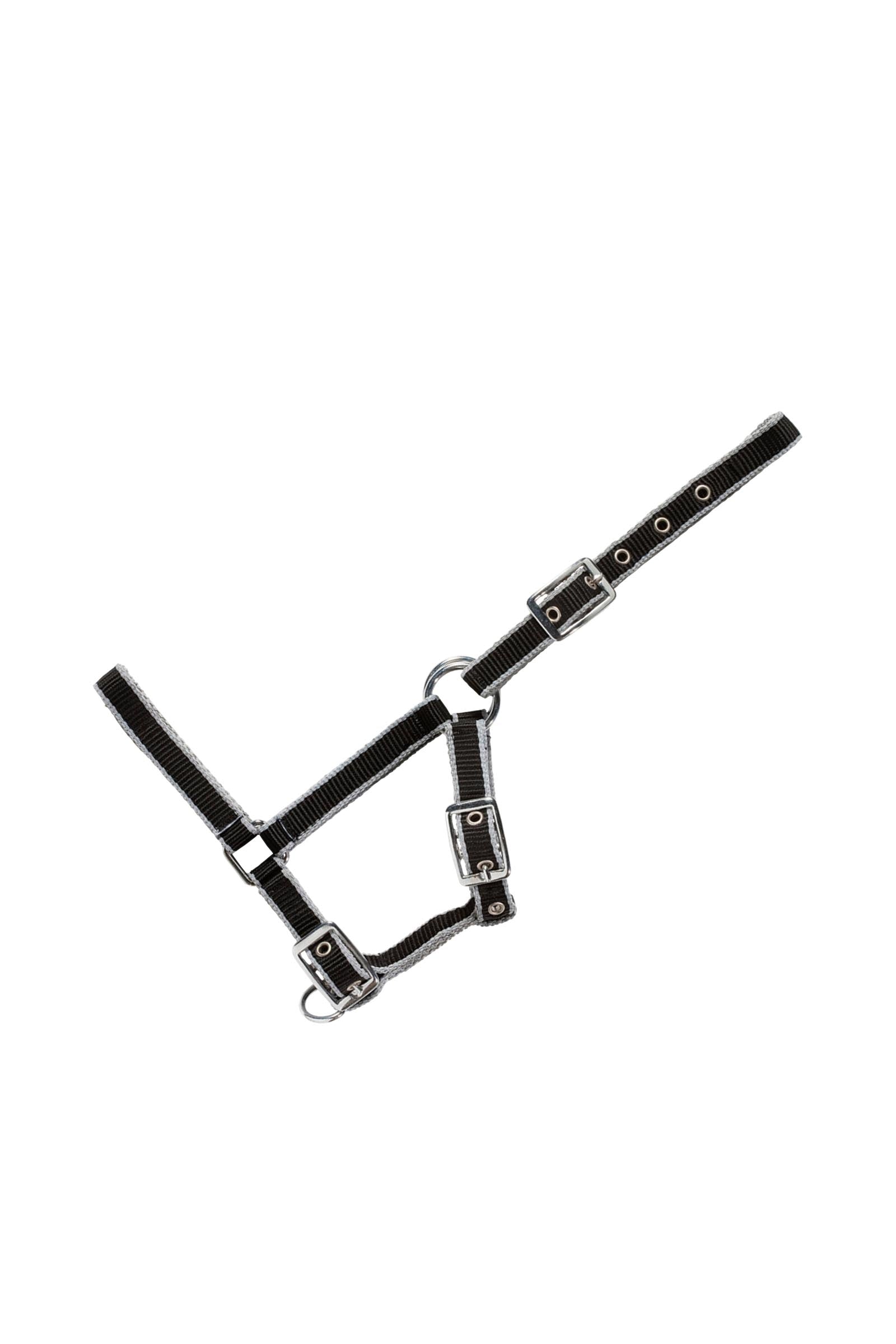USG Adjustable Foal Halter Licols & longes