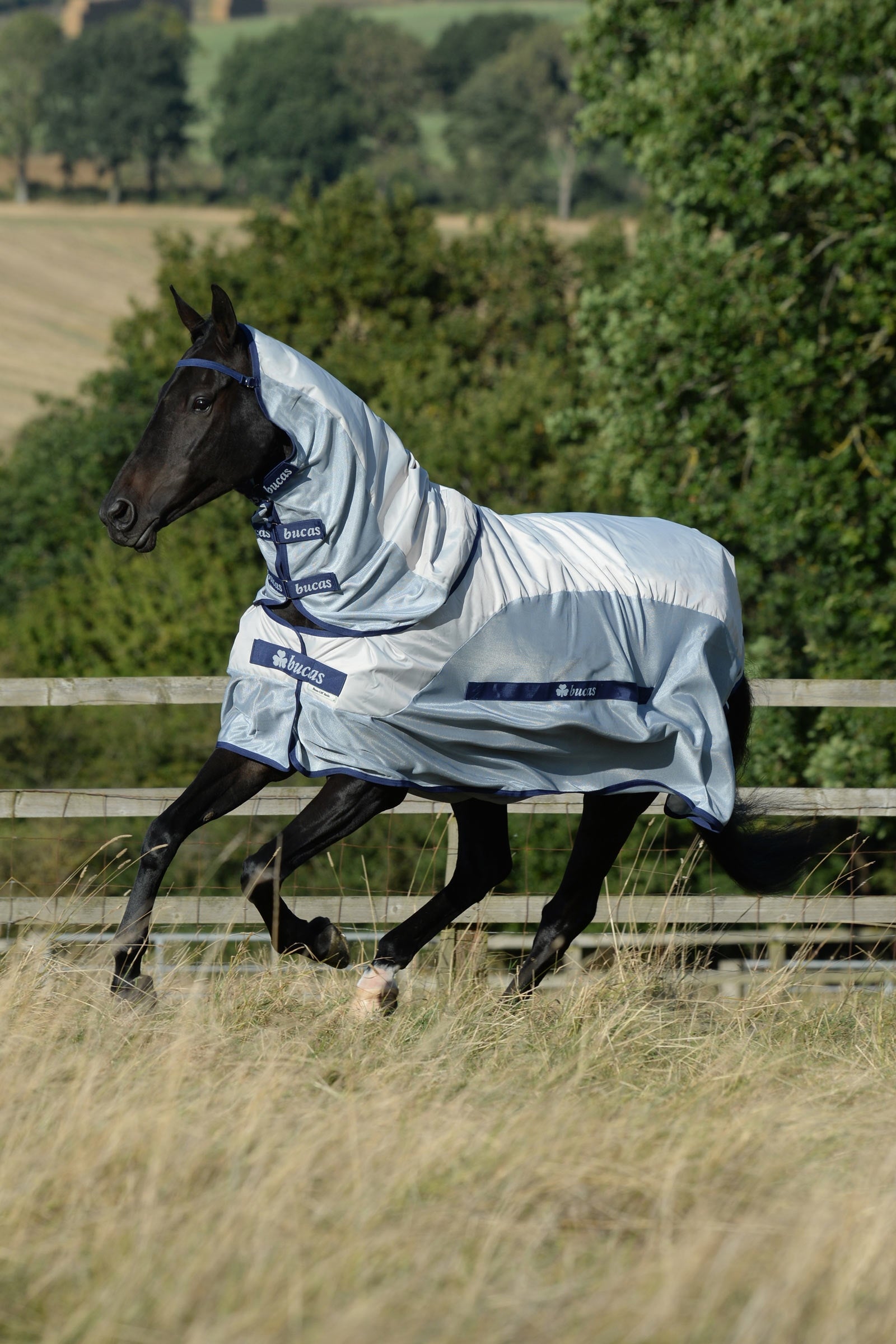Bucas Buzz-off Couverture anti-mouches imperméable Rain Couvertures cheval