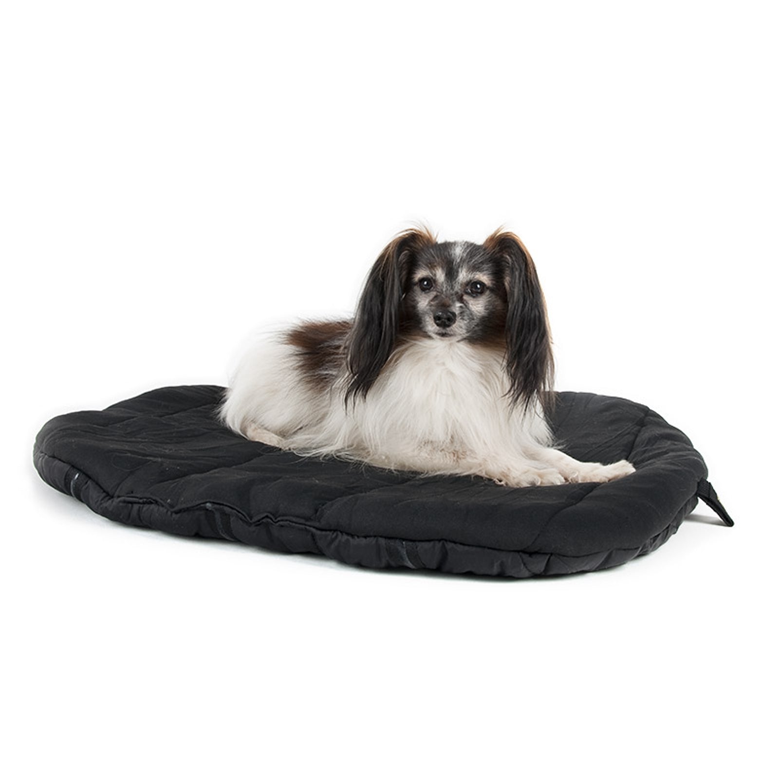 Back on Track matelas pour chien Chiens