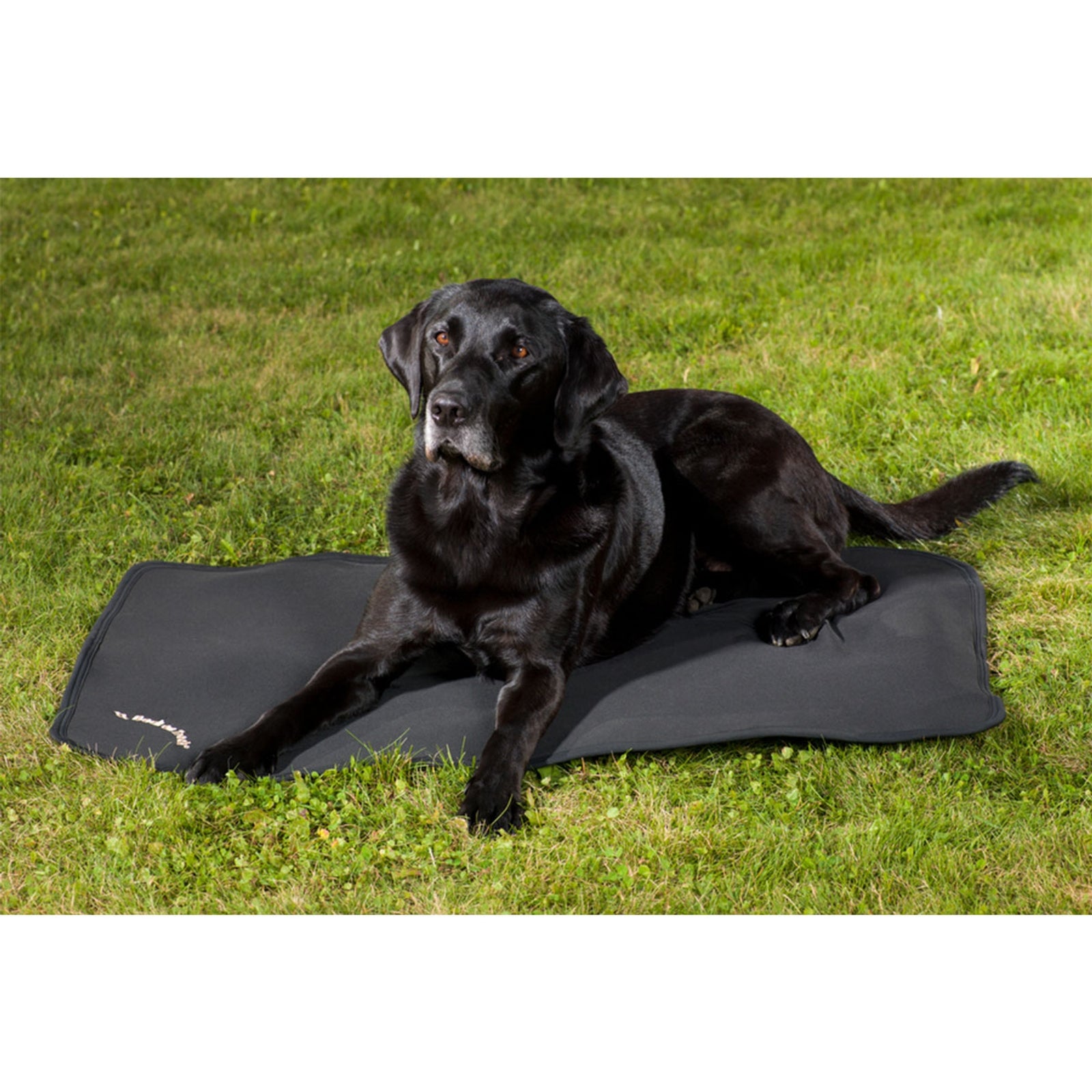 Back on Track Tapis pour chiens Cage, 100x68 Chiens