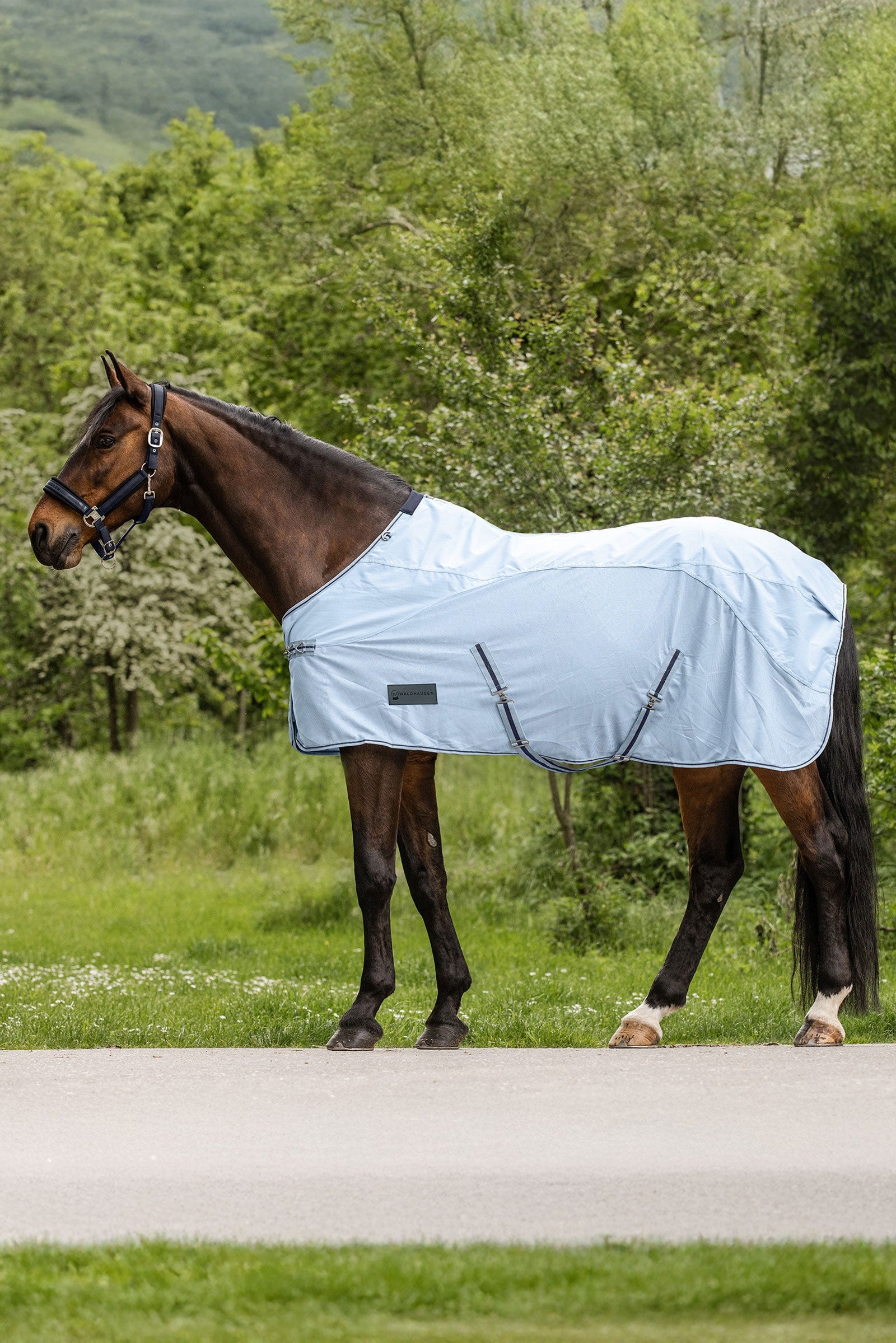 Waldhausen Protect couverture anti-mouches avec protection contre la pluie Couvertures cheval
