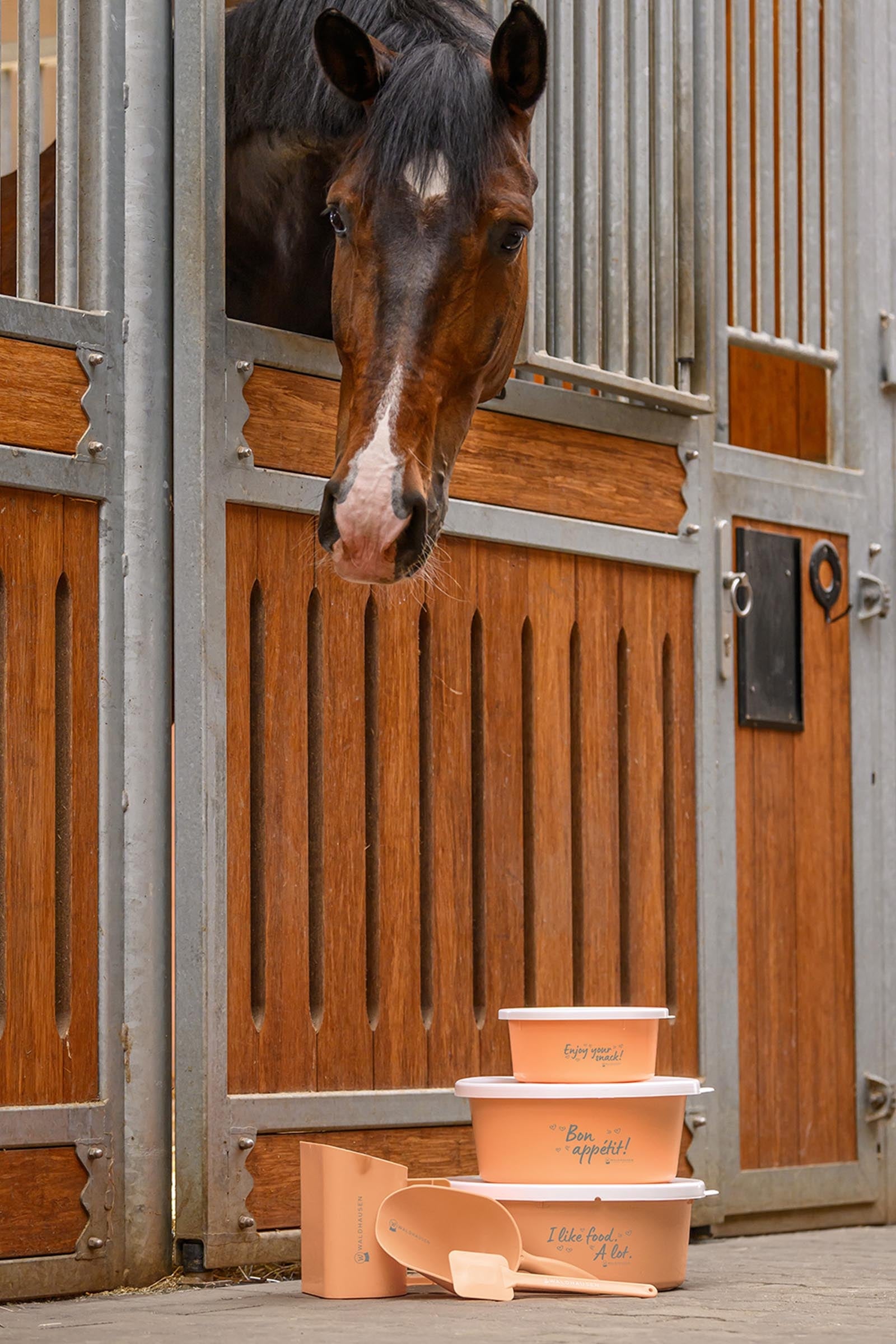 Waldhausen Muesli Bowl With Lid Horse Feeders & Waterers