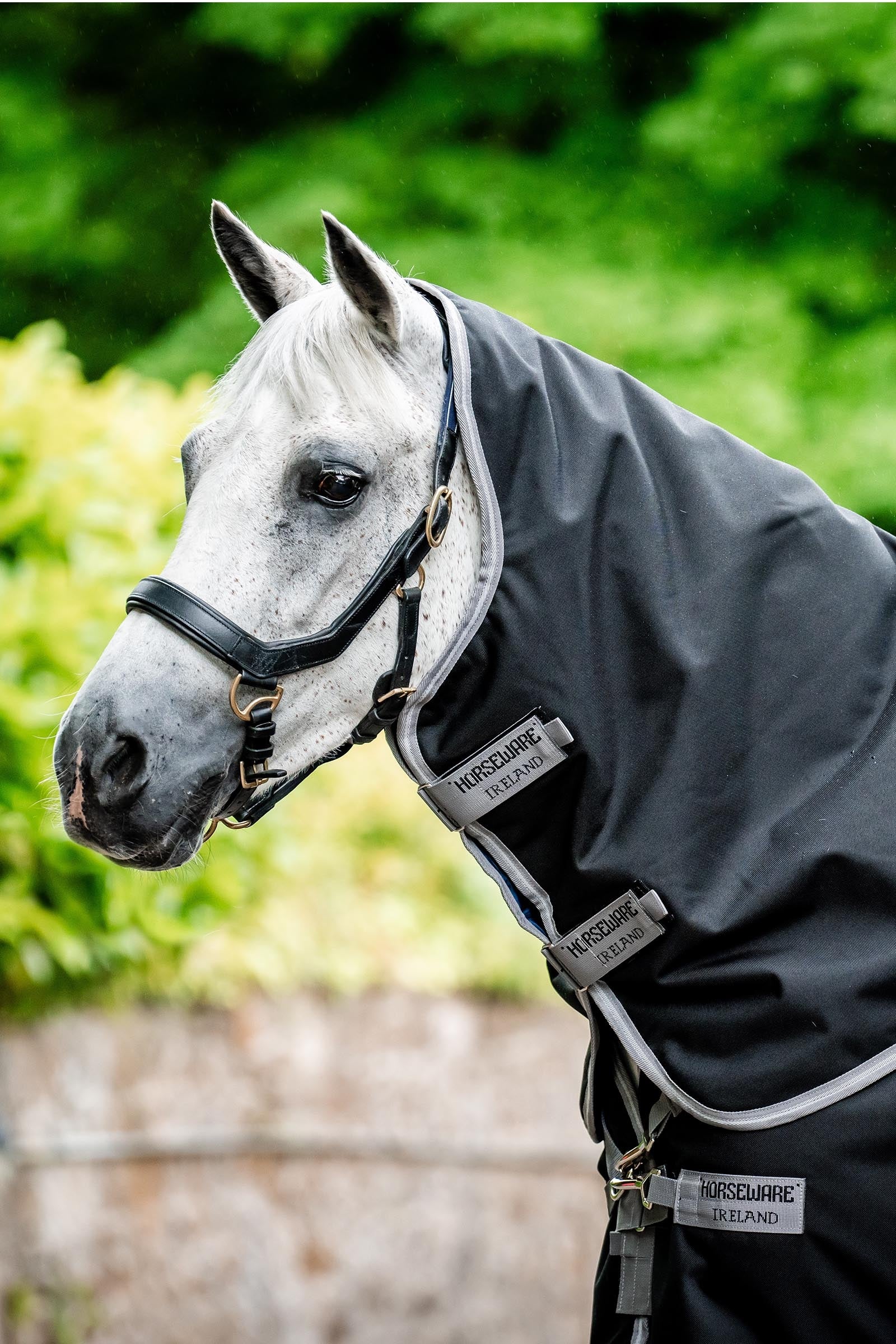 Horseware Amigo Bravo 12 Encolure 0g Couvertures cheval