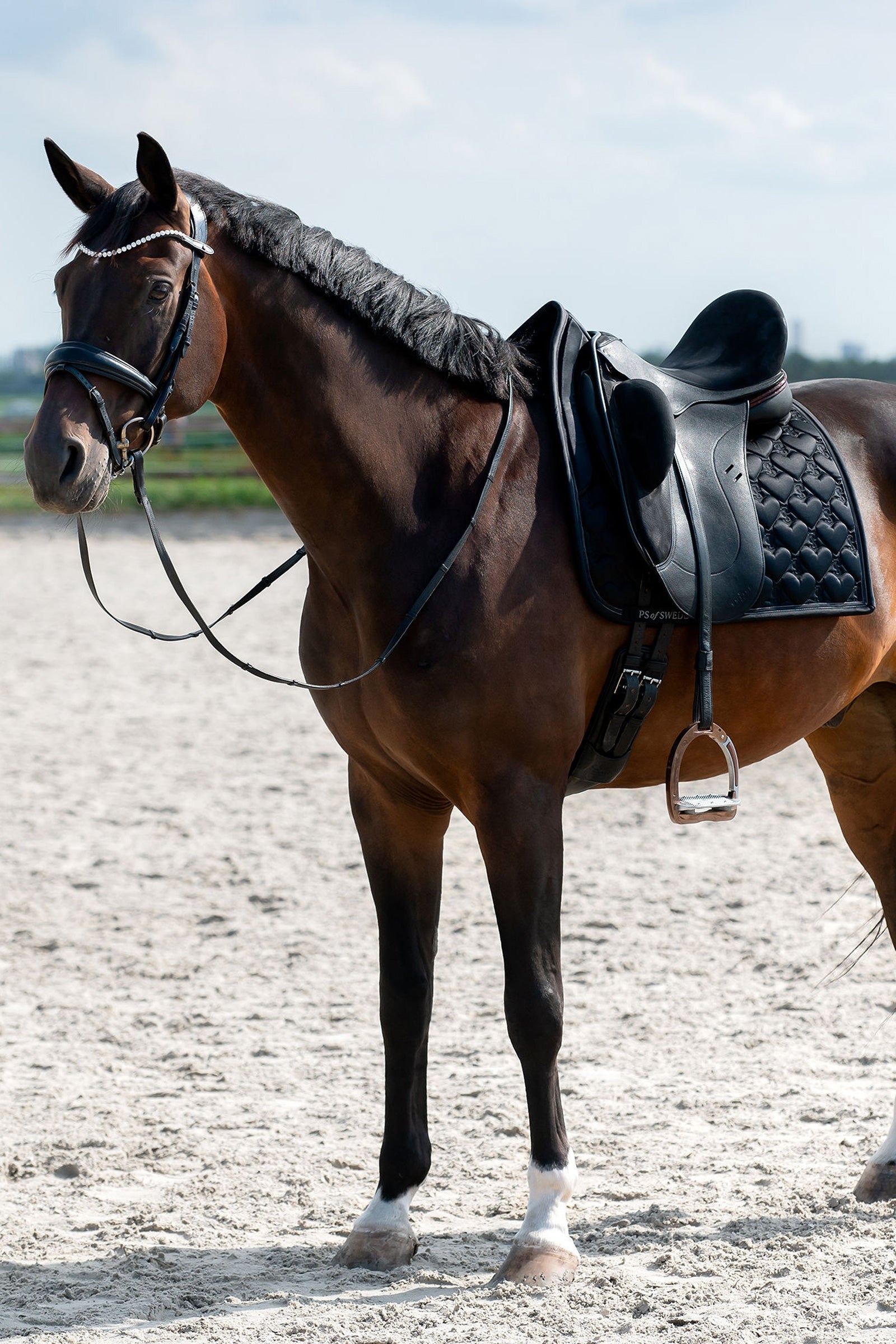 Tapis de selle de dressage Marquess Horze - Ganse glamour et Tapis de selle de dressage Marquess Horze - Ganse glamour et