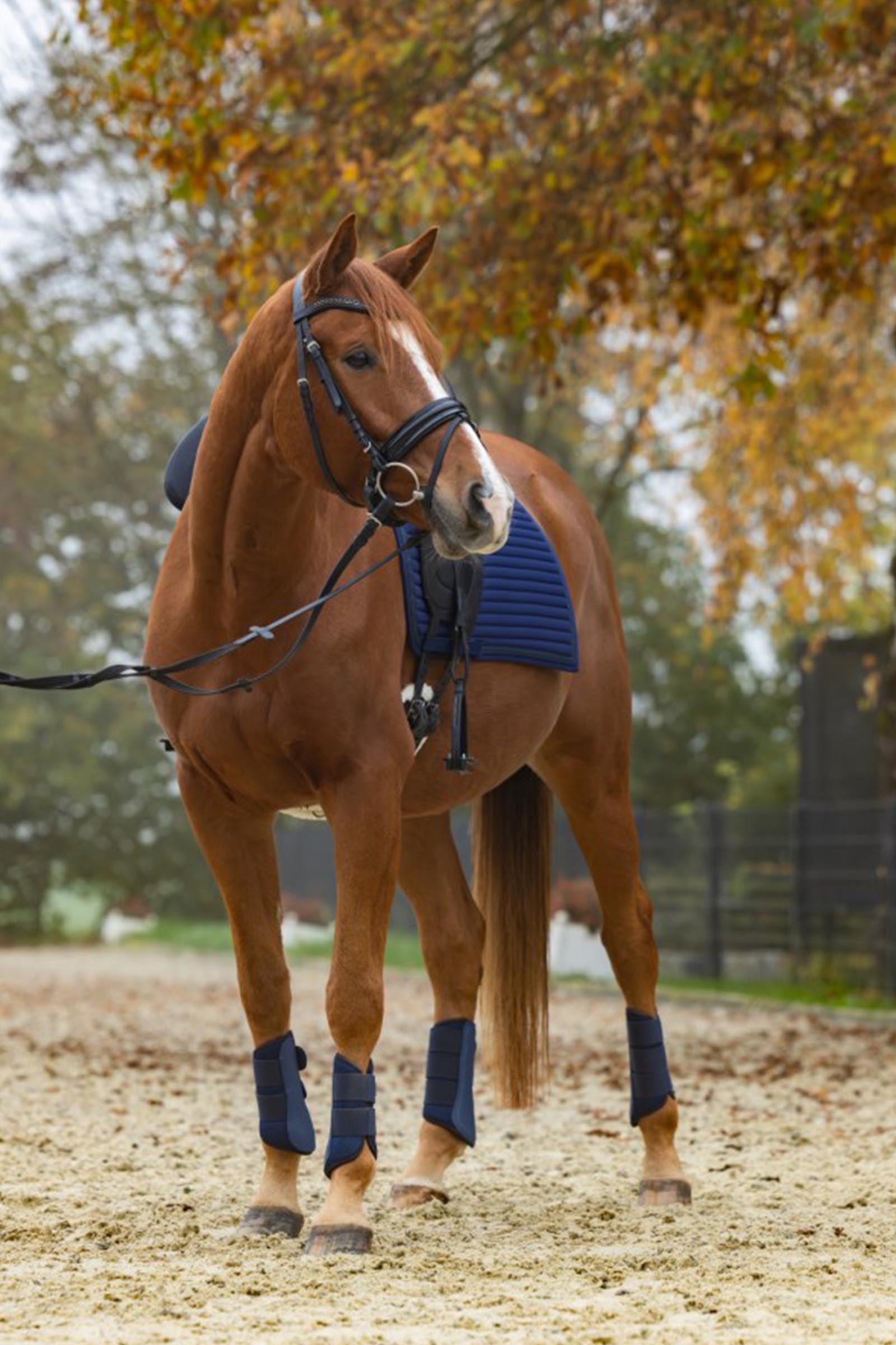 Covalliero Avina Soft Gaiters (1 Pair) Leg Protection & Hoof Protection for Horses