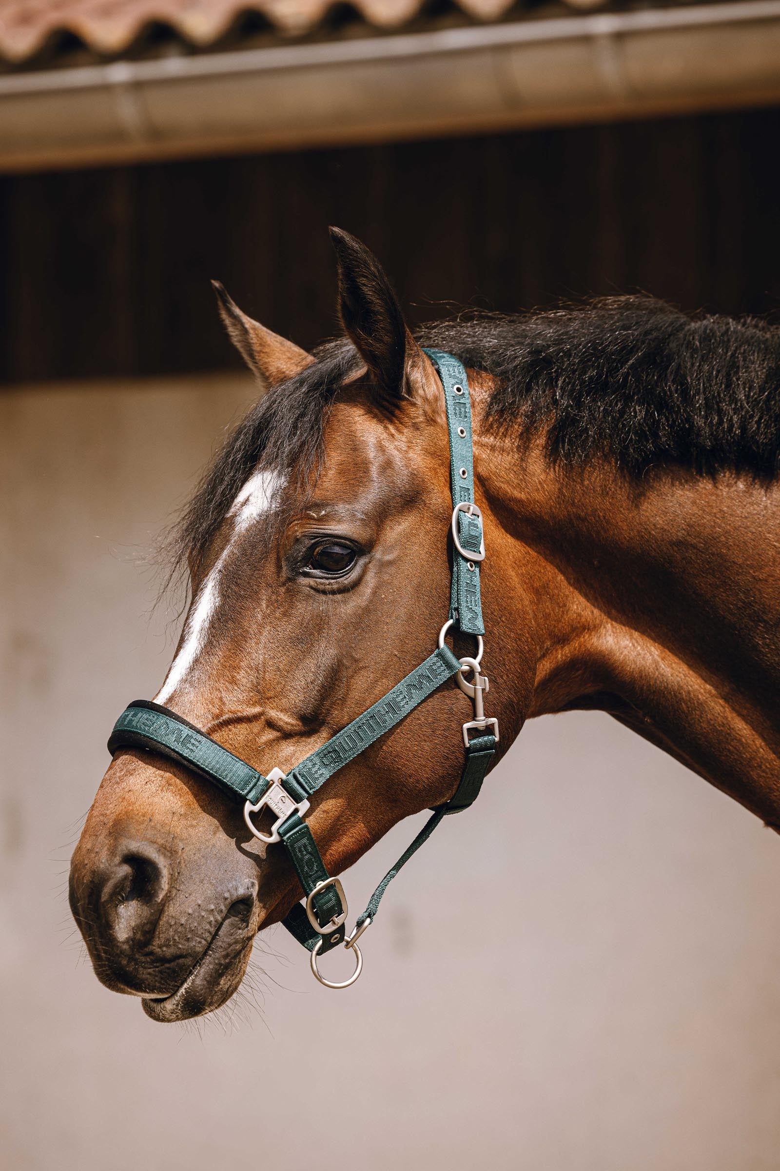 EQUITHÈME Jacquard licol en nylon Licols & longes