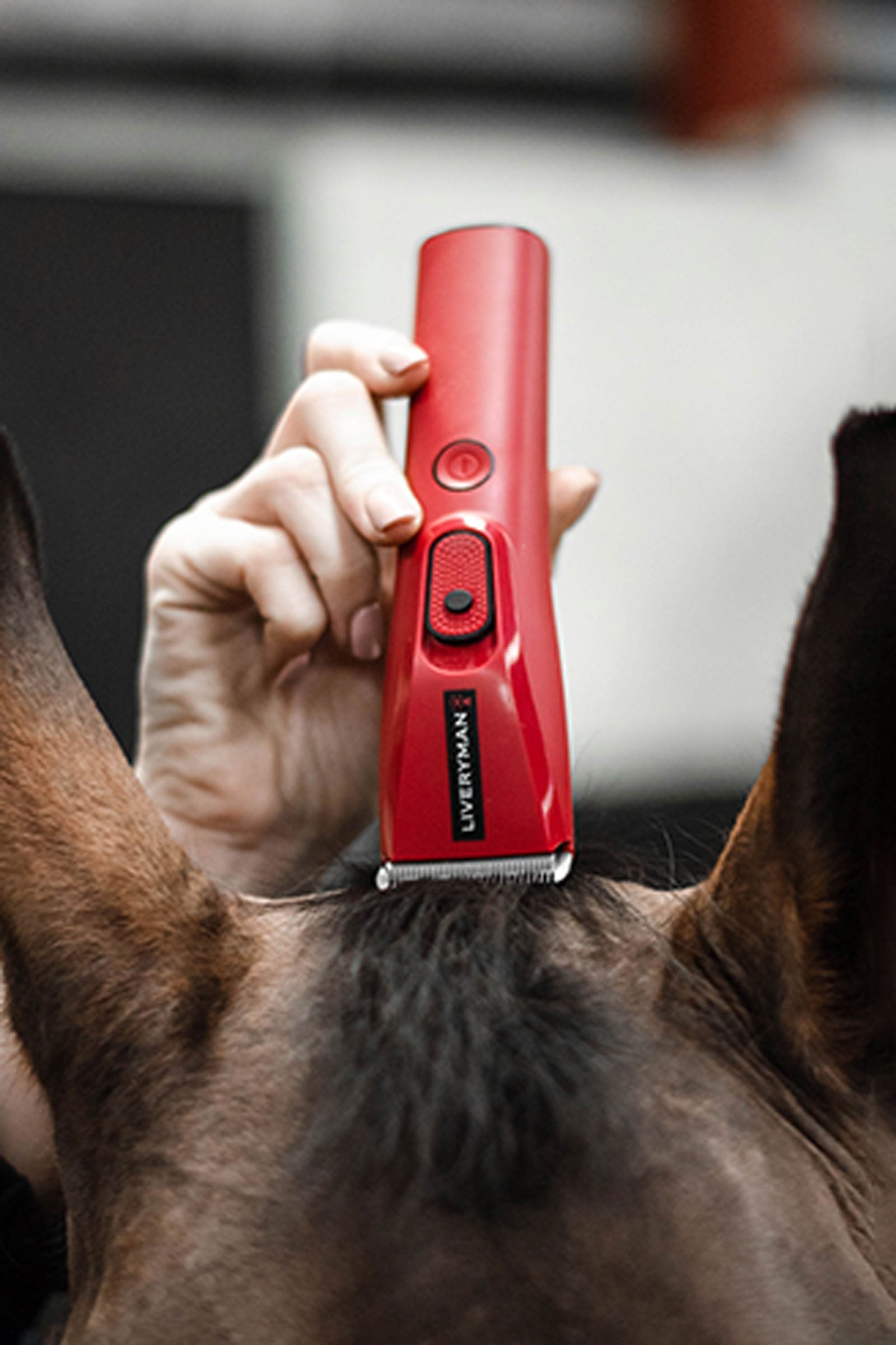 Liveryman Nova Horse Trimmer Horse Clipping & Trimming Tools