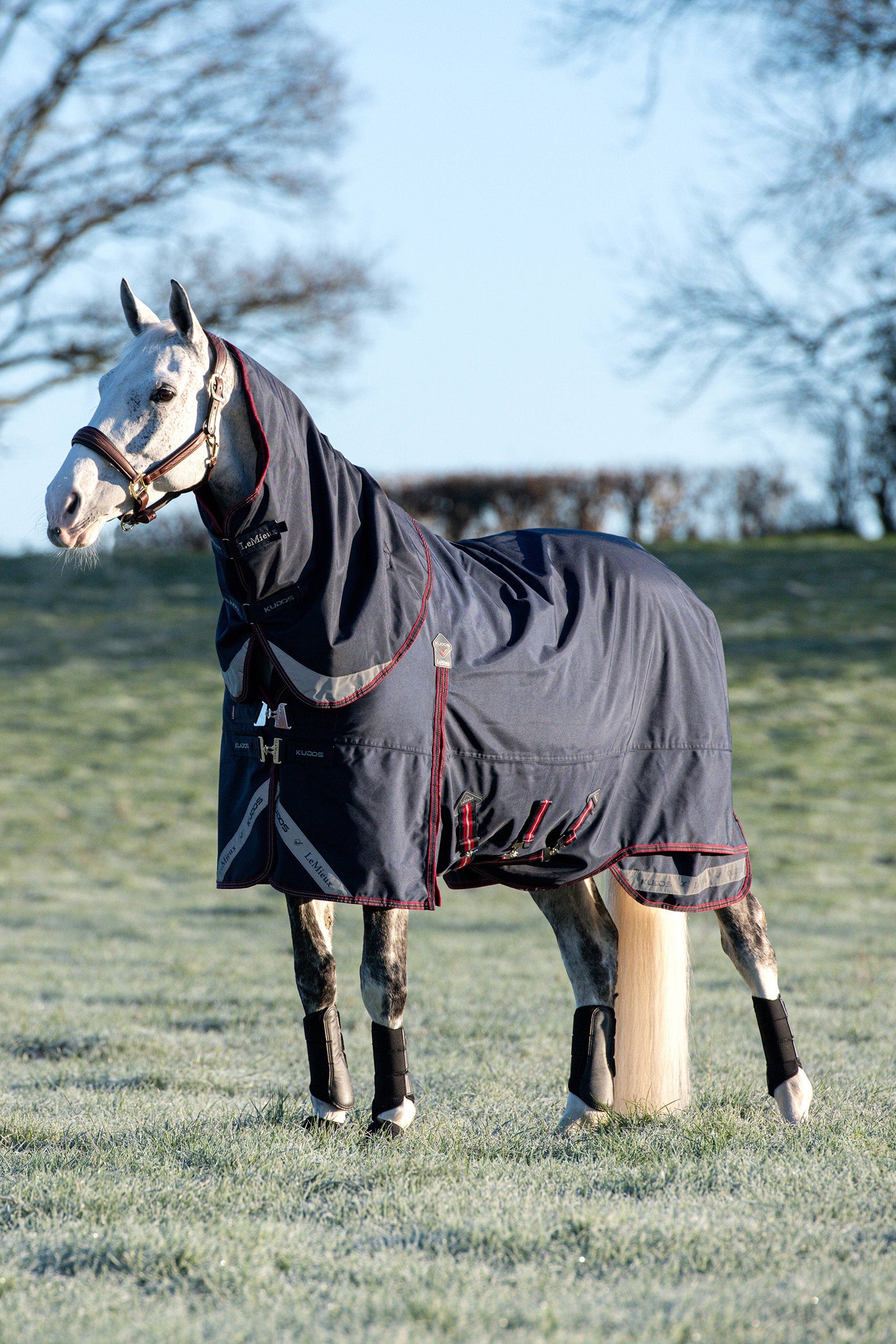 LeMieux Kudos Lightweight Turnout Rug, 100 g Horse Rugs