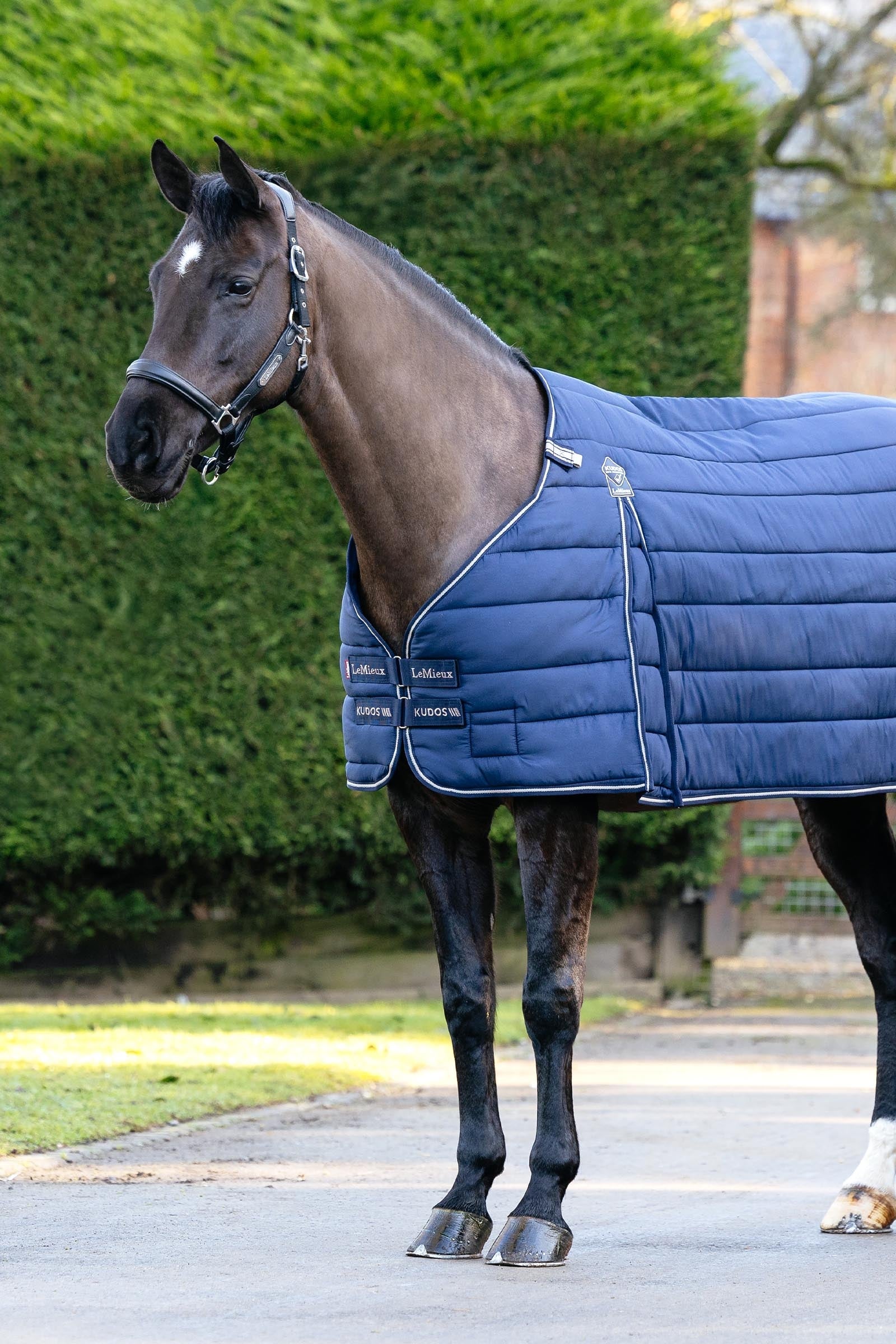 LeMieux Kudos Rug Liner, 100 g Horse Rugs
