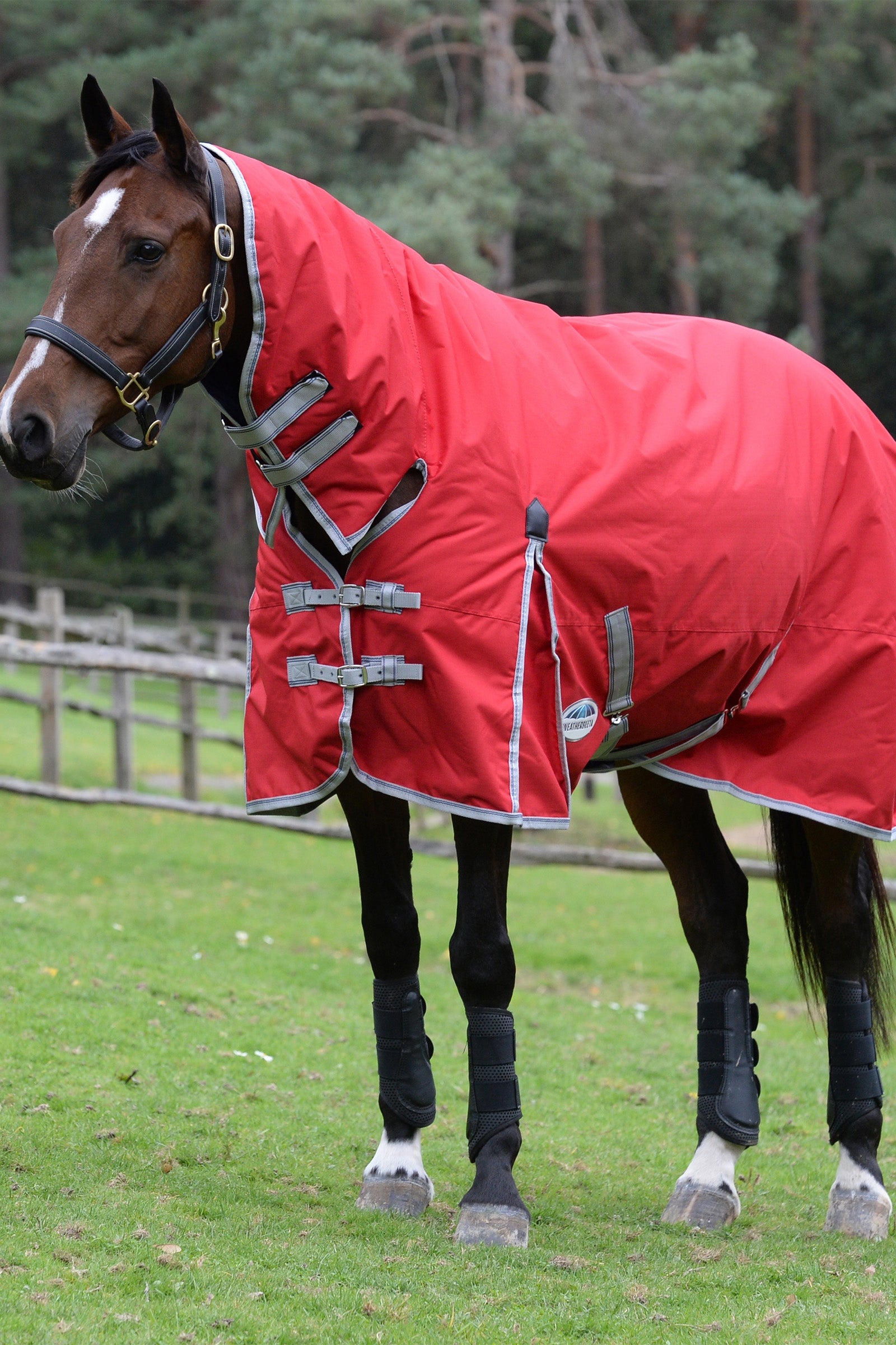 Weatherbeeta Comfitec Classic Couvertures cheval avec encolure intégrée, 50g Couvertures cheval