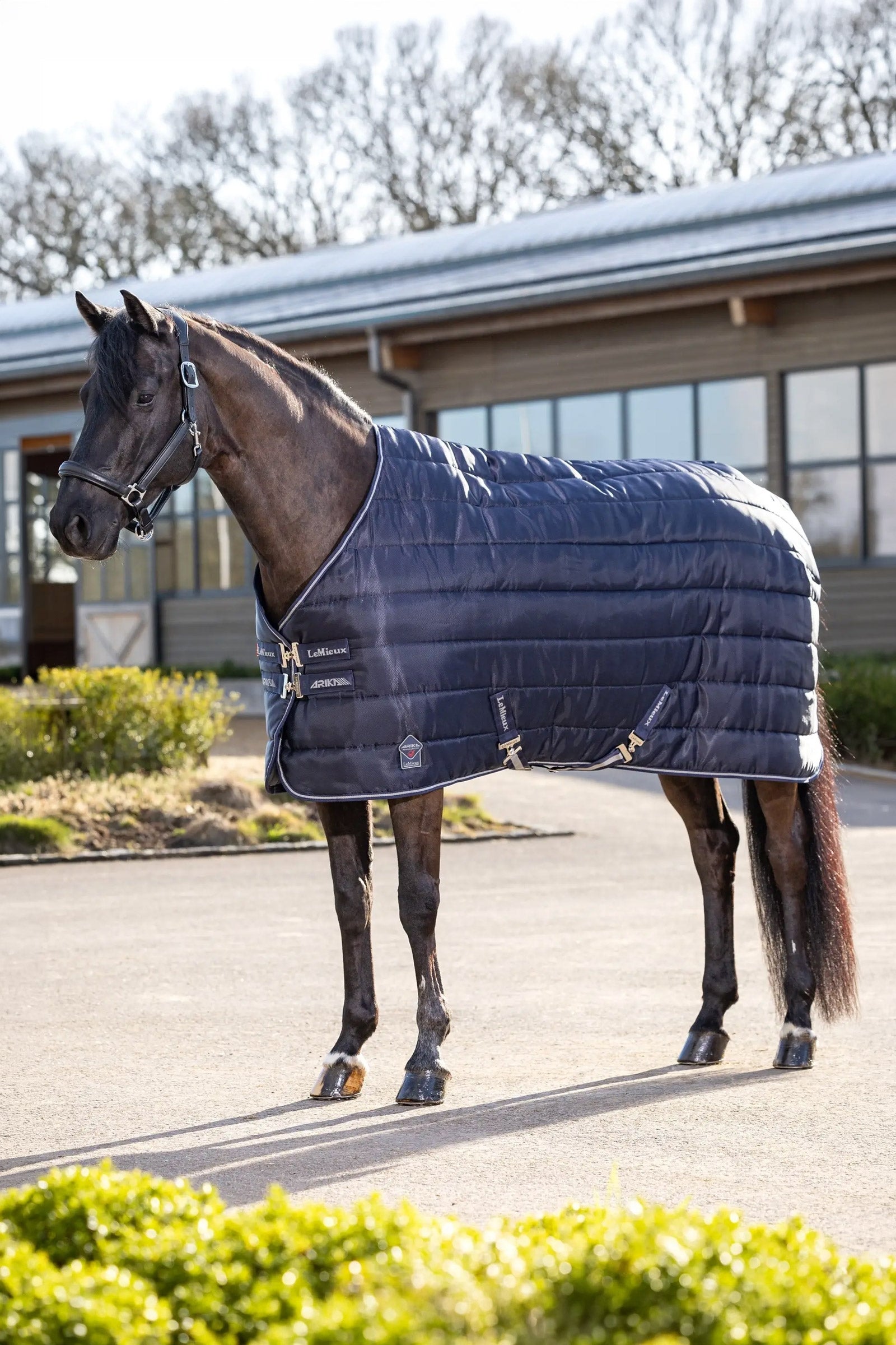 LeMieux Arika Stable-Tek Stable Rug, 350 g Couvertures cheval