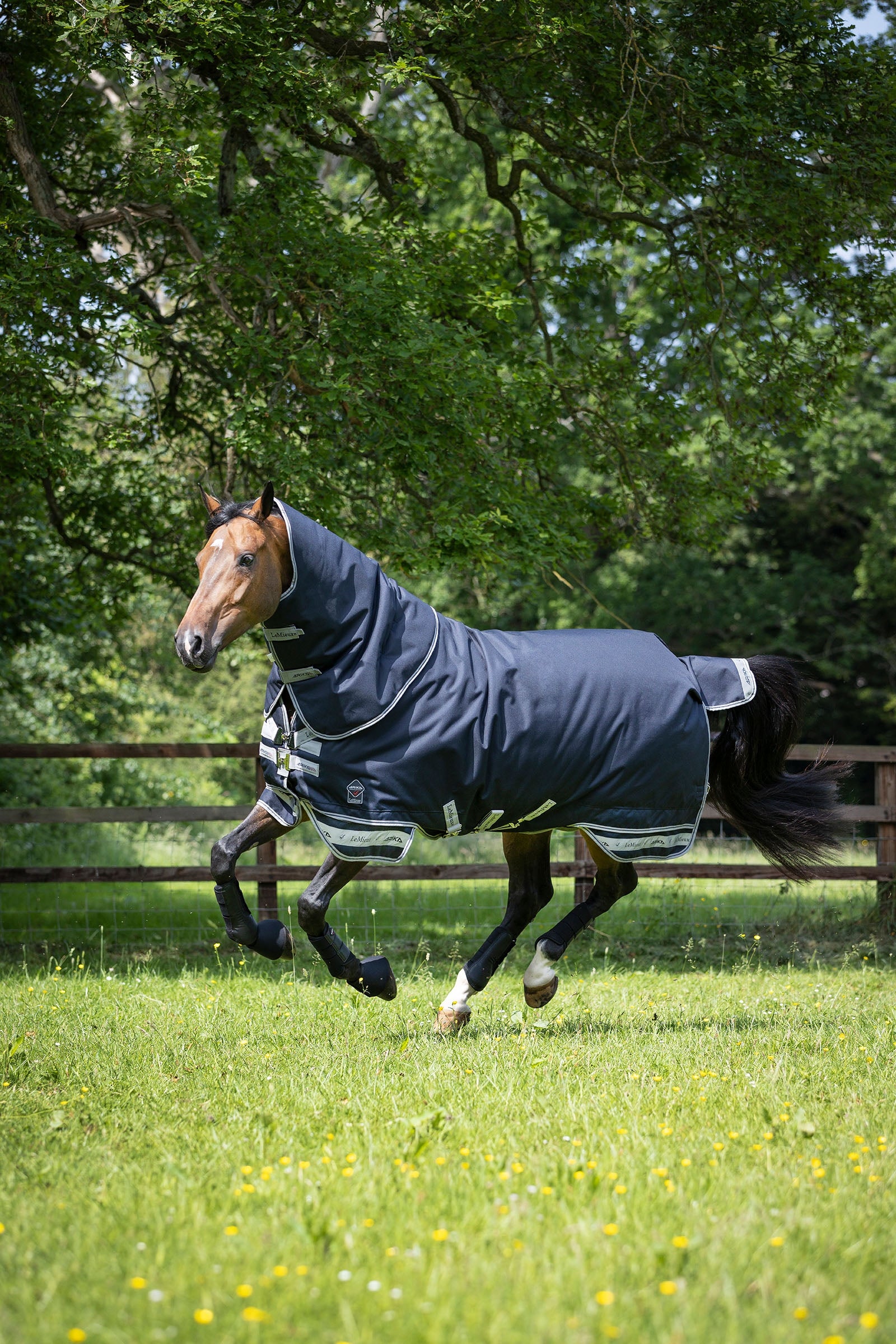 LeMieux Arika Storm-Tek 200g Couvertures cheval