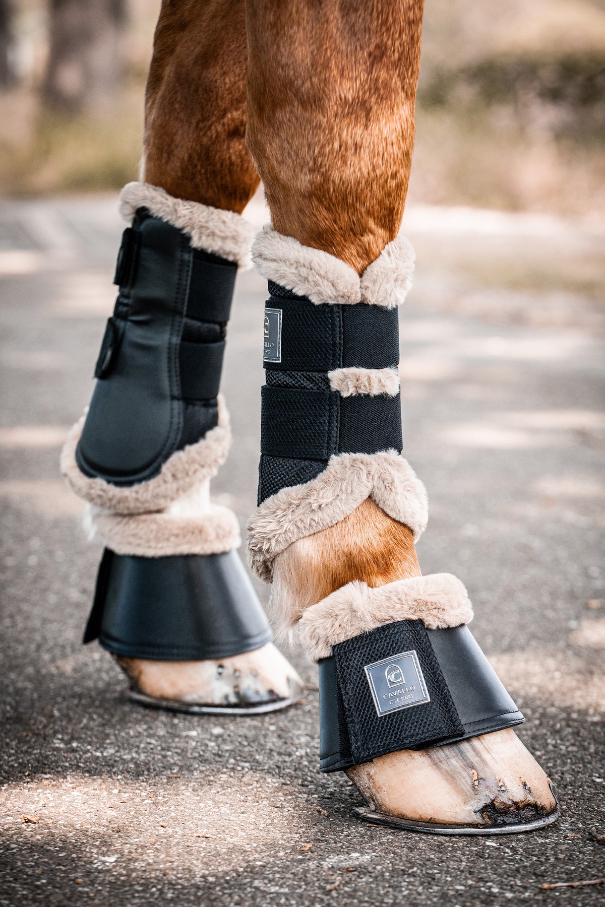 Cavallo CAVALJOCA Brushing Boots Leg & Hoof Protection