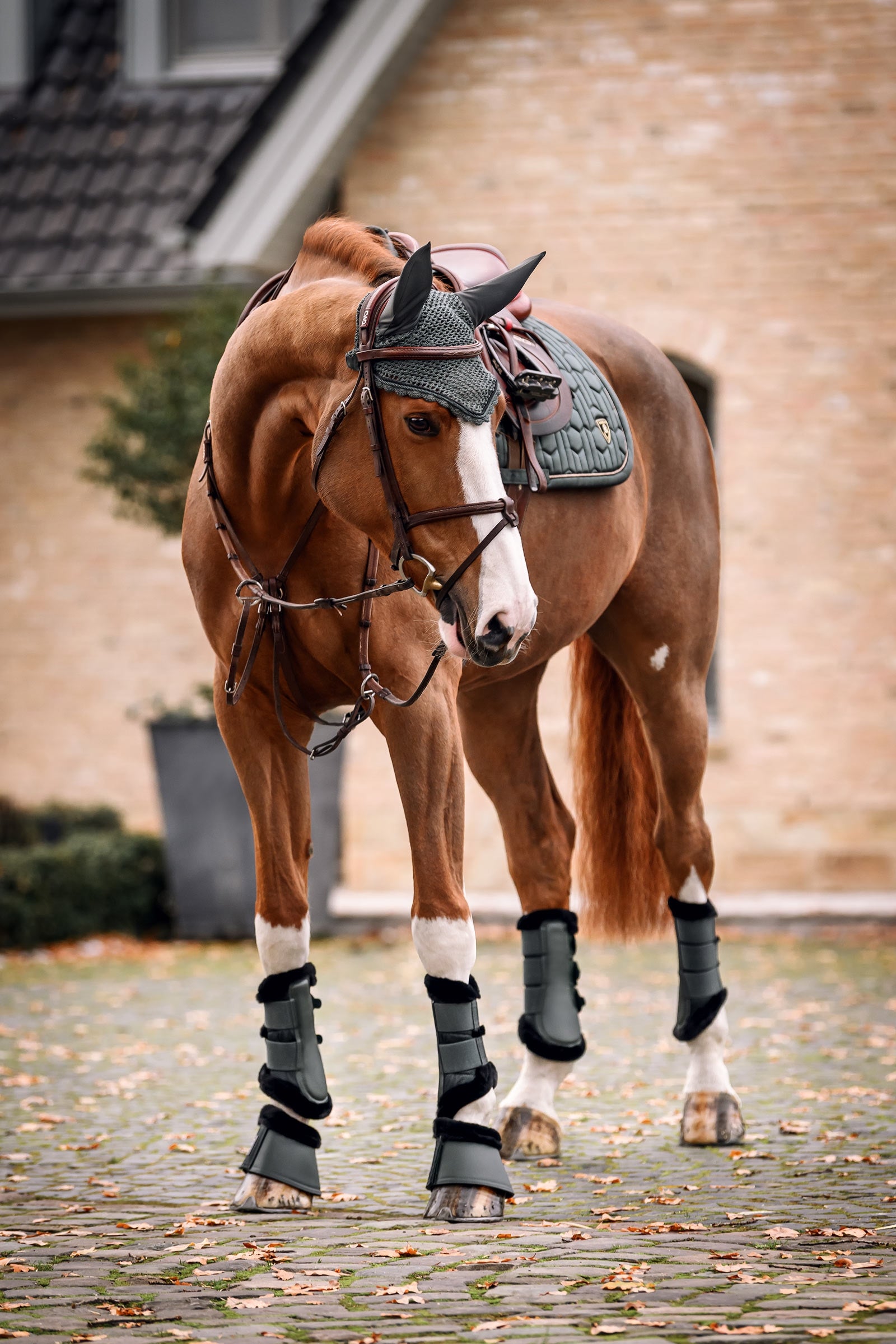 Cavallo CAVALJOCA Brushing Boots Leg Protection & Hoof Protection for Horses